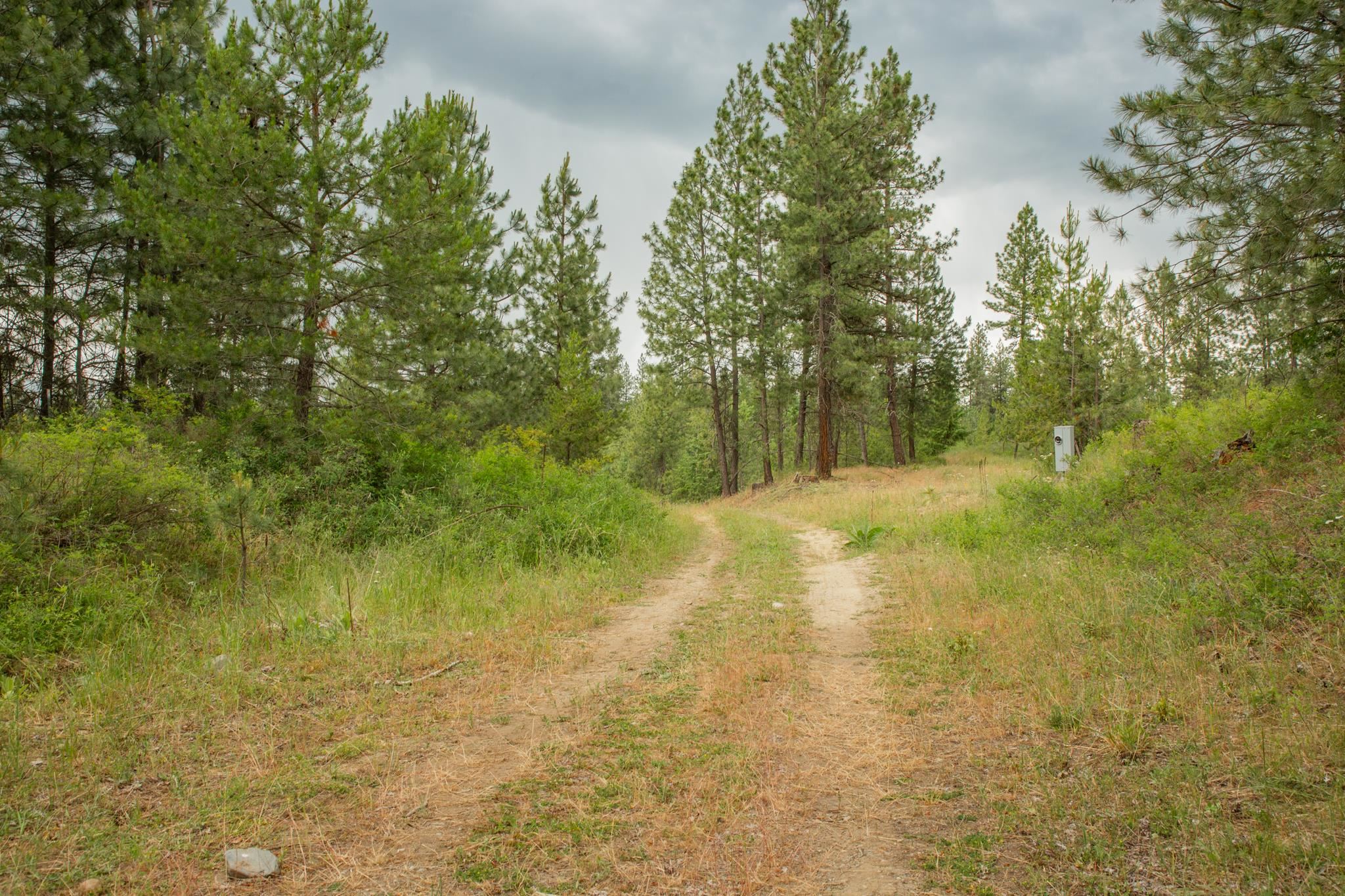 Homes for sale in Springdale, WA | 4110 Cemetery Rd, Springdale, WA 99173 | MLS# 202619613