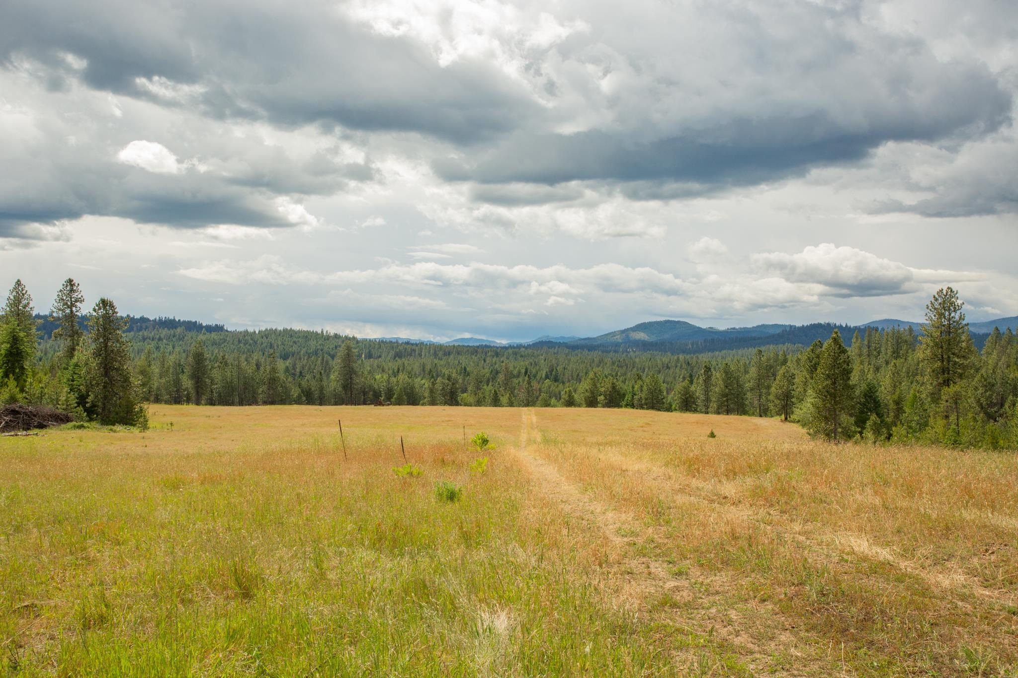 Homes for sale in Springdale, WA | 4110 Cemetery Rd, Springdale, WA 99173 | MLS# 202619613