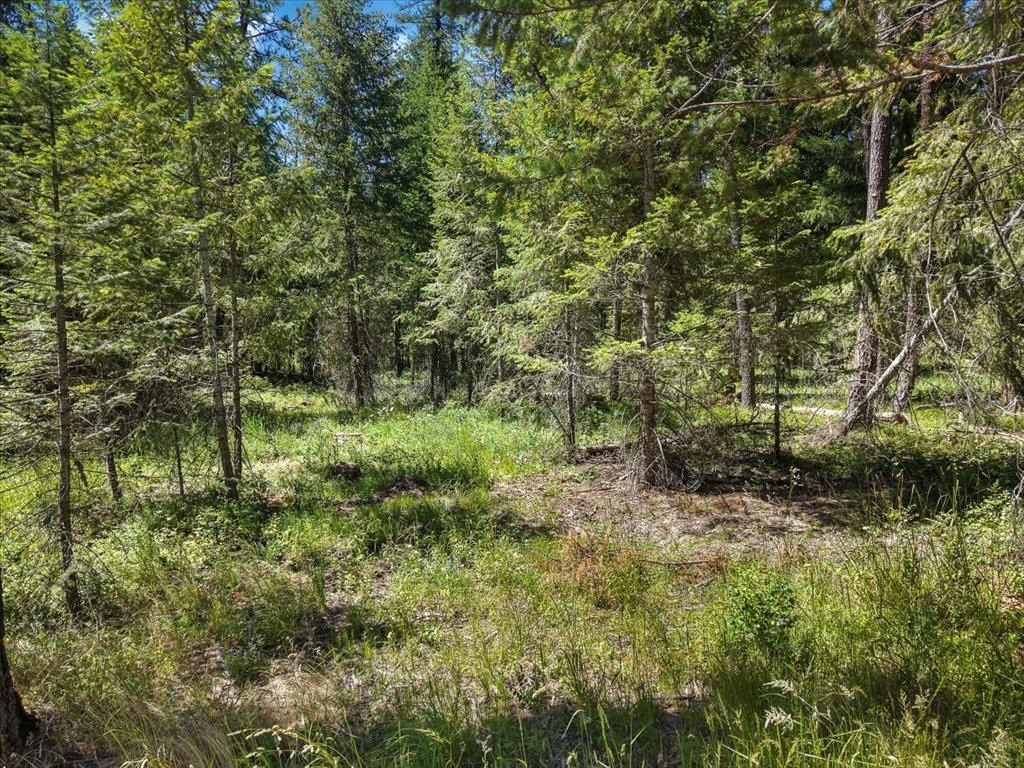 1st image of 305xx N Cleveland Rd, Deer Park, WA 99006 | MLS# 202619818