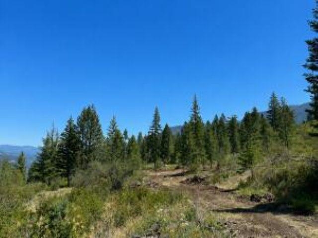 Homes for sale in Northport, WA | 3634 N 25 Hwy, Northport, WA 99157 | MLS# 202620055