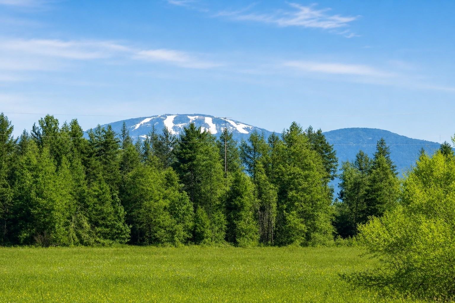 2nd image of 413xx N Short Rd, Deer Park, WA 99006 | MLS# 202620335