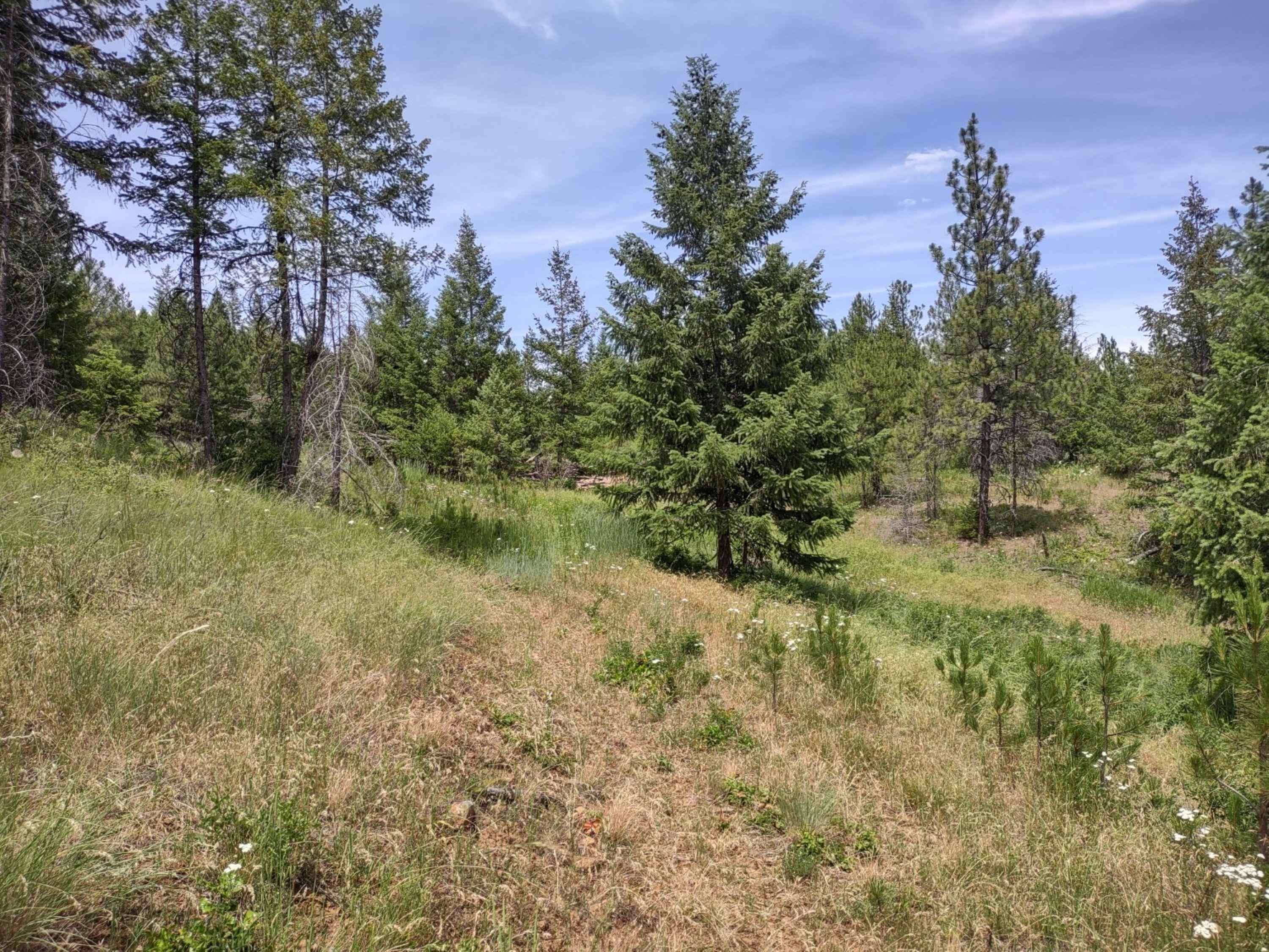 Homes for sale in Springdale, WA | Xx Springdale Hunters Hwy, Springdale, WA 99173 | MLS# 202620515