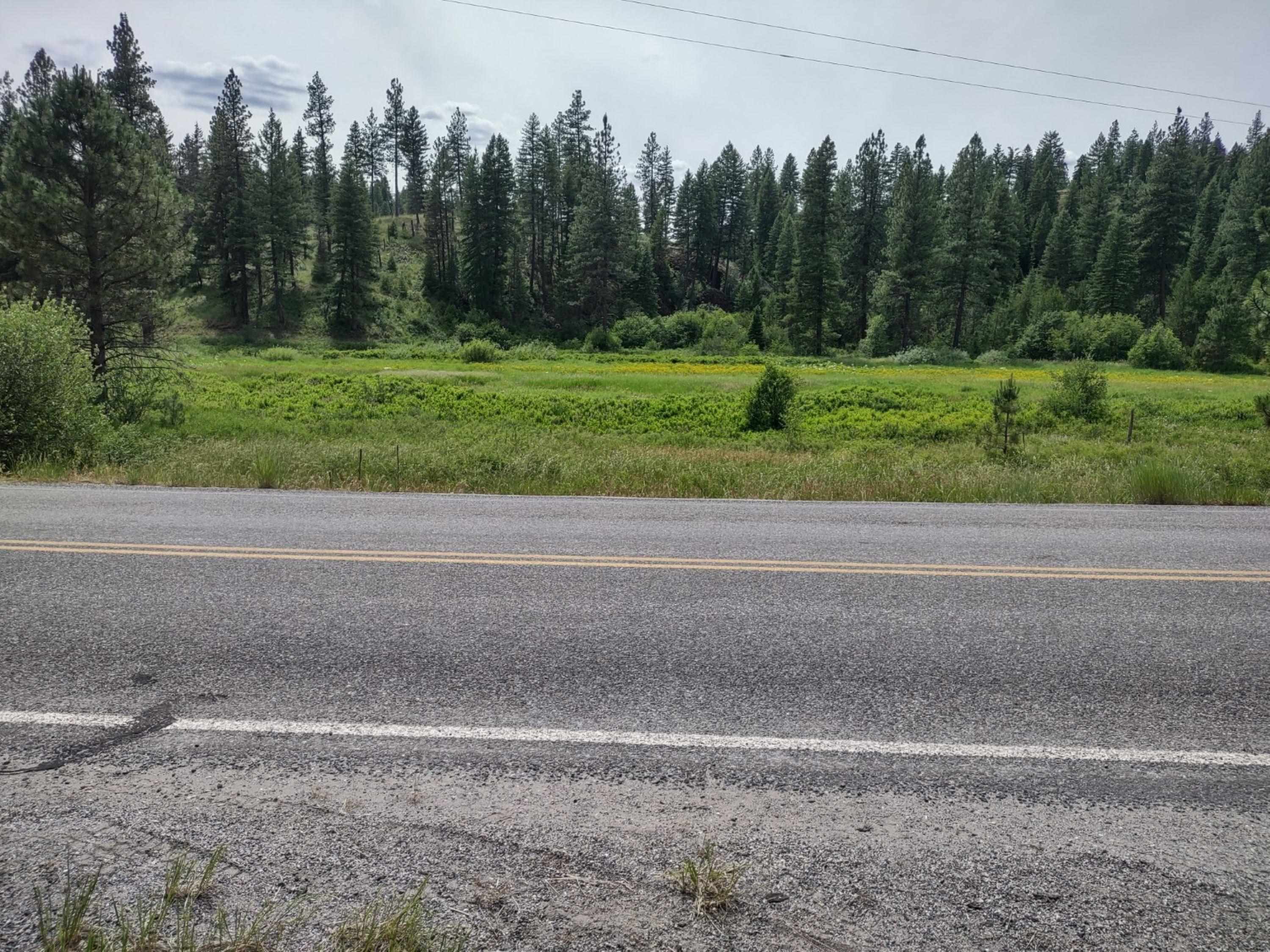 Homes for sale in Springdale, WA | Xx Springdale Hunters Hwy, Springdale, WA 99173 | MLS# 202620515