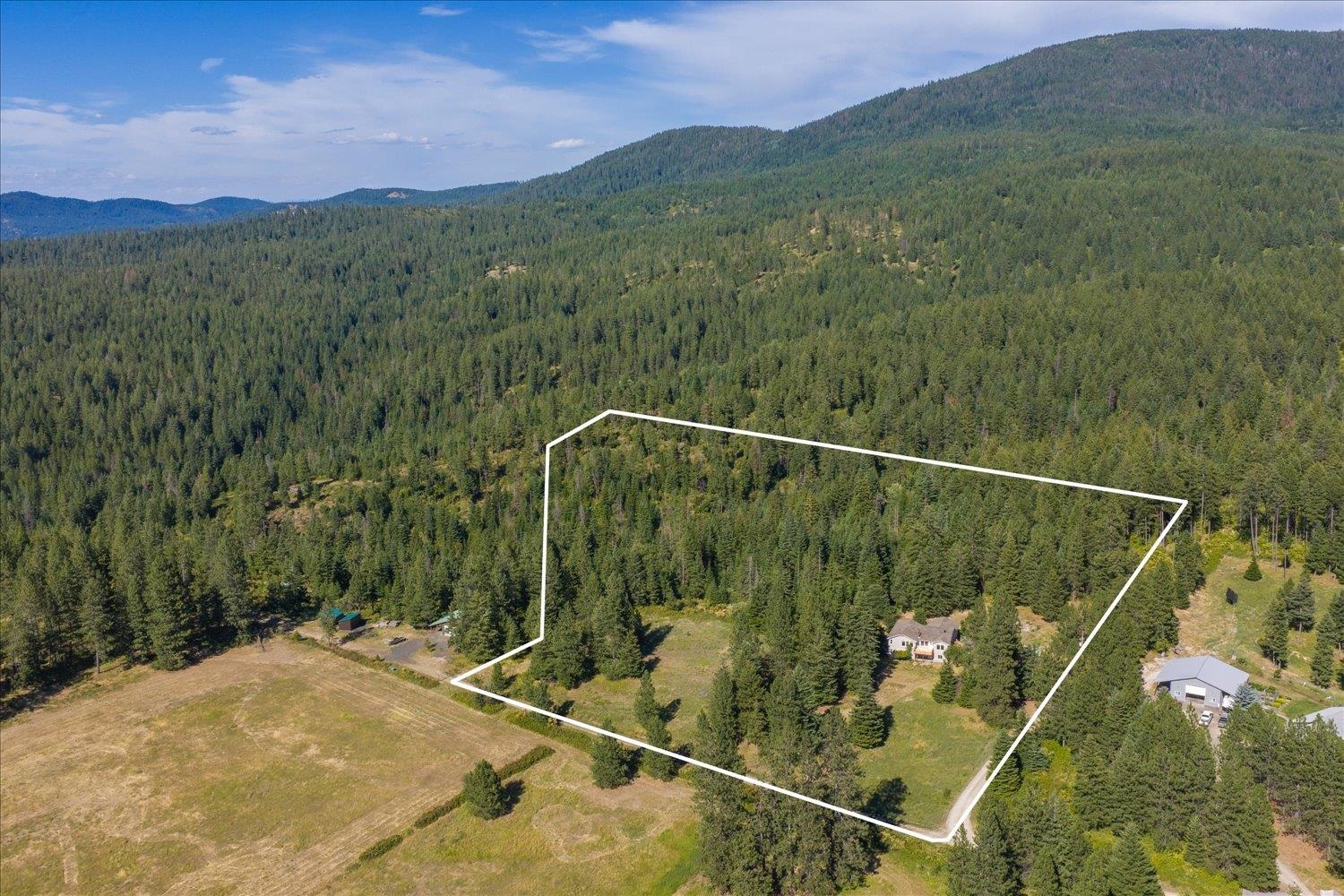 Homes for sale in Chattaroy, WA | 15519 E Tallman Rd, Chattaroy, WA 99003 | MLS# 202620784