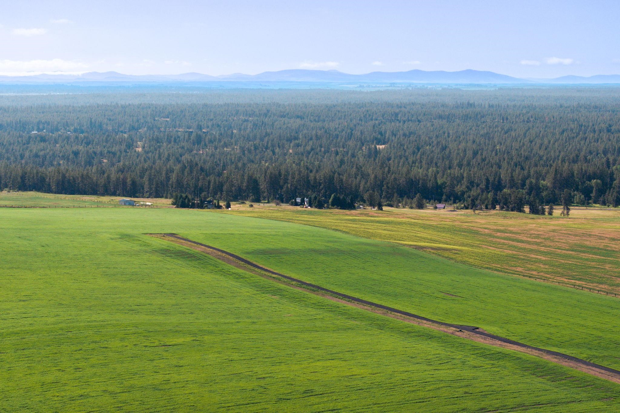 5th image of 15275 S Andrus Rd, Cheney, WA 99004 | MLS# 202620963