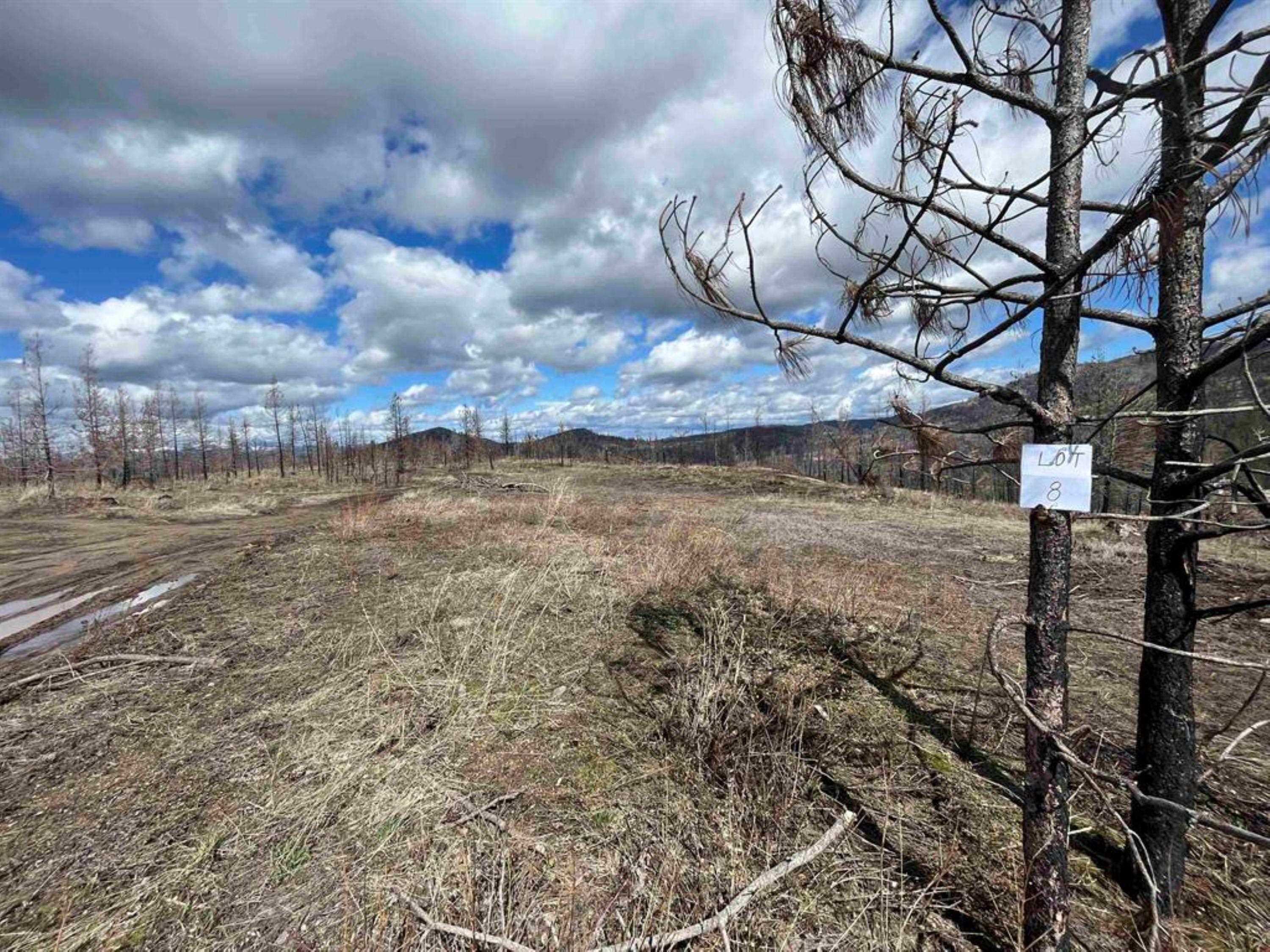 Homes for sale in Springdale, WA | Lot 8 Rail Canyon Rd, Springdale, WA 99173 | MLS# 202621028