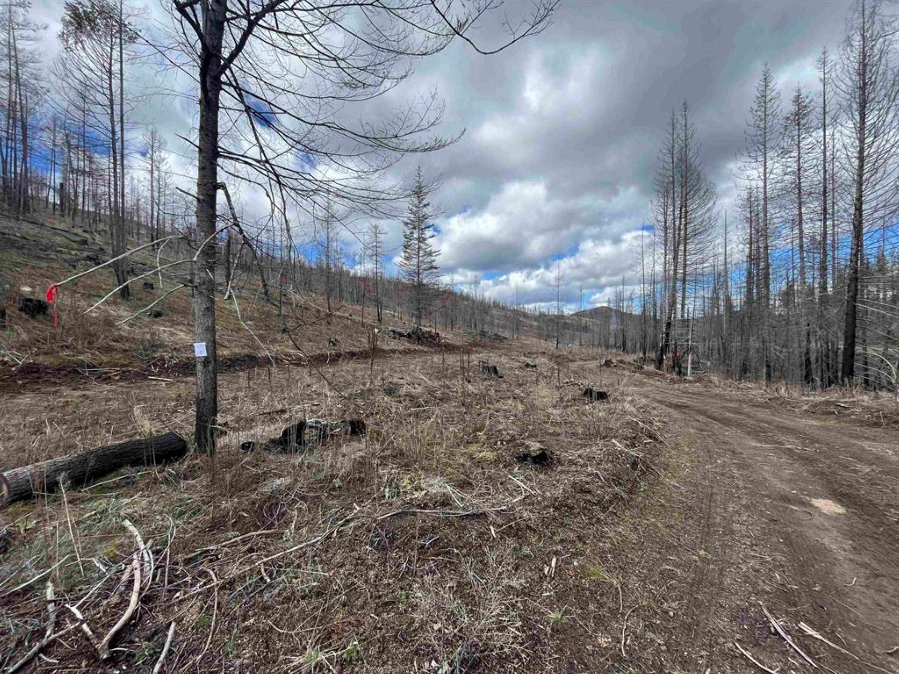 Homes for sale in Springdale, WA | Lot 8 Rail Canyon Rd, Springdale, WA 99173 | MLS# 202621028