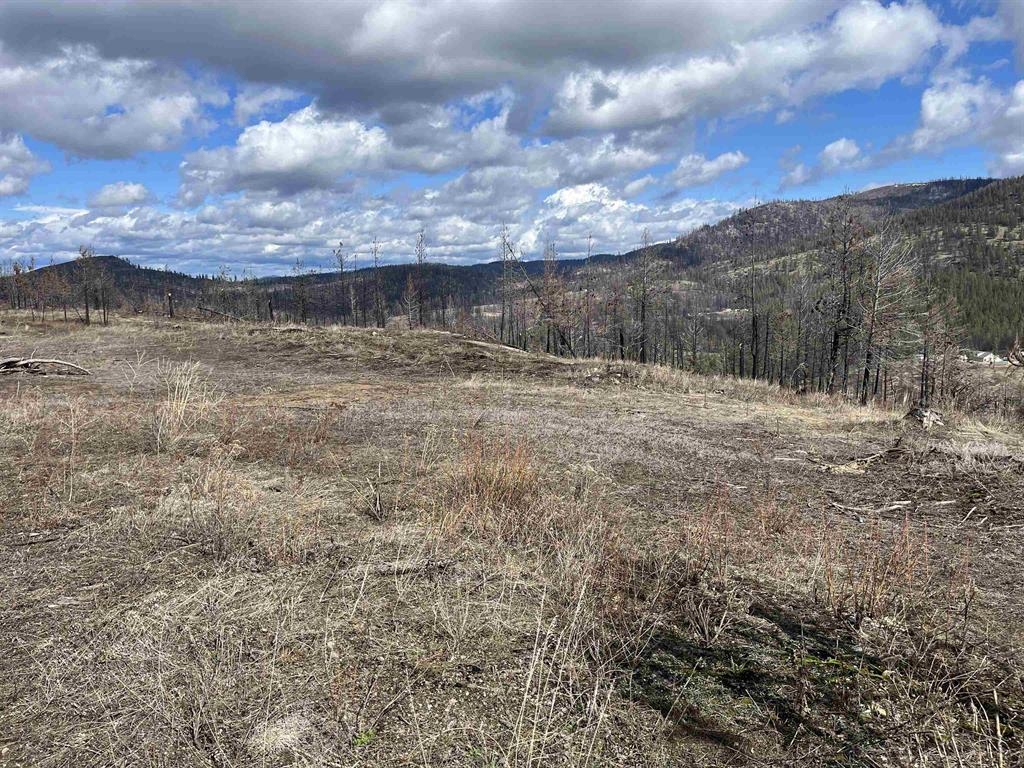 Homes for sale in Springdale, WA | Lot 8 Rail Canyon Rd, Springdale, WA 99173 | MLS# 202621028