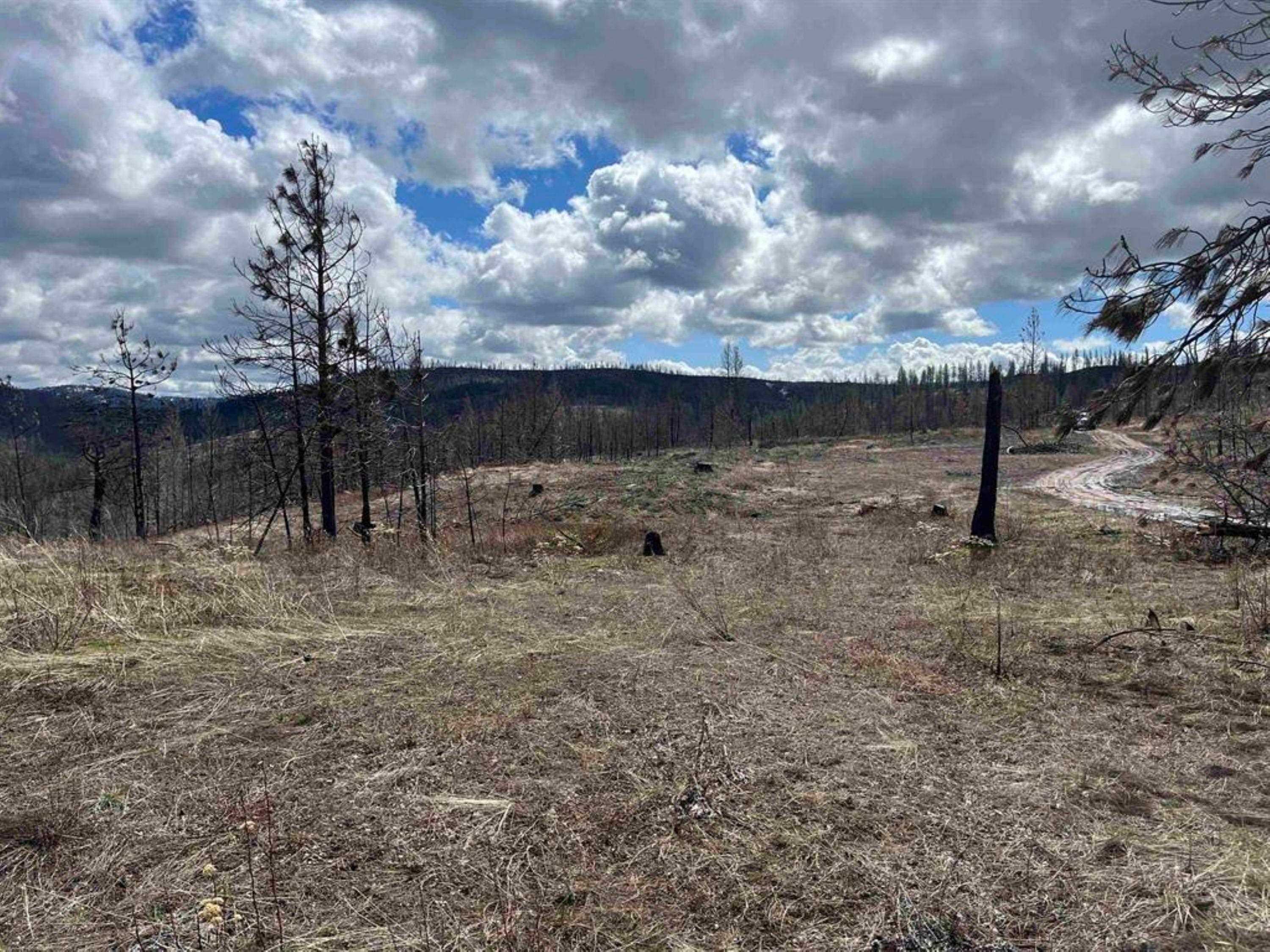 Homes for sale in Springdale, WA | Lot 8 Rail Canyon Rd, Springdale, WA 99173 | MLS# 202621028