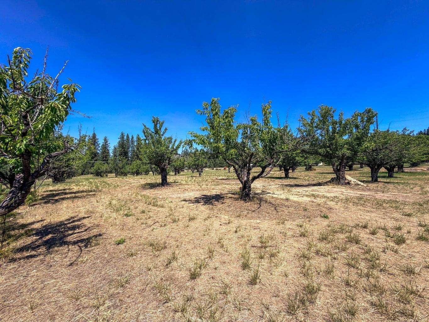 Homes for sale in Kettle Falls, WA | 1248 Peachcrest Rd, Kettle Falls, WA 99141 | MLS# 202621045