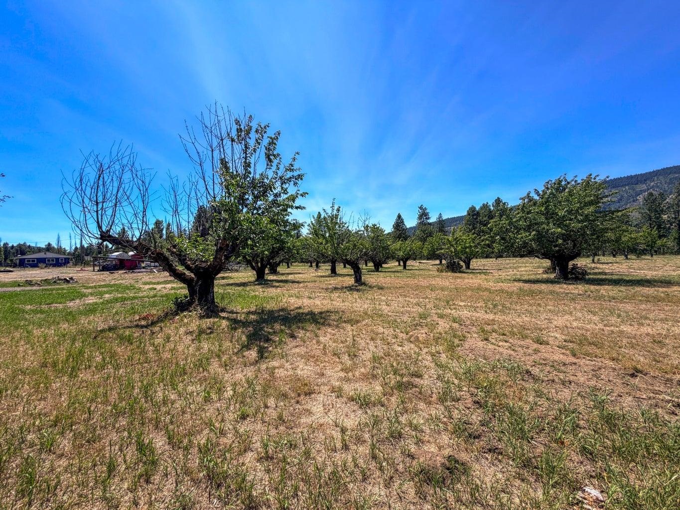Homes for sale in Kettle Falls, WA | 1248 Peachcrest Rd, Kettle Falls, WA 99141 | MLS# 202621045