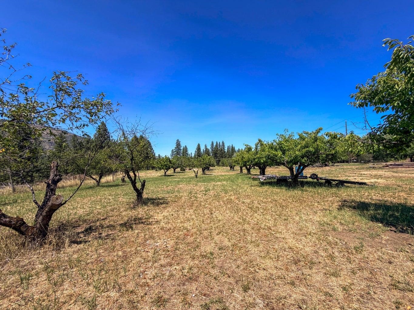 Homes for sale in Kettle Falls, WA | 1250 Peachcrest Rd, Kettle Falls, WA 99141 | MLS# 202621047