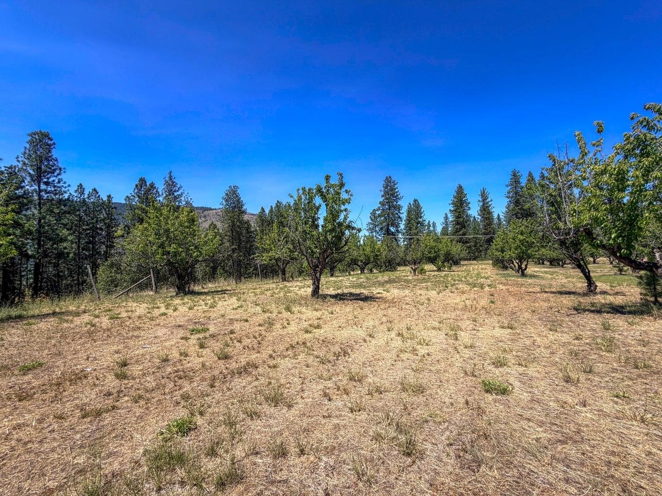 Homes for sale in Kettle Falls, WA | 1244 Peachcrest Rd, Kettle Falls, WA 99141 | MLS# 202621051