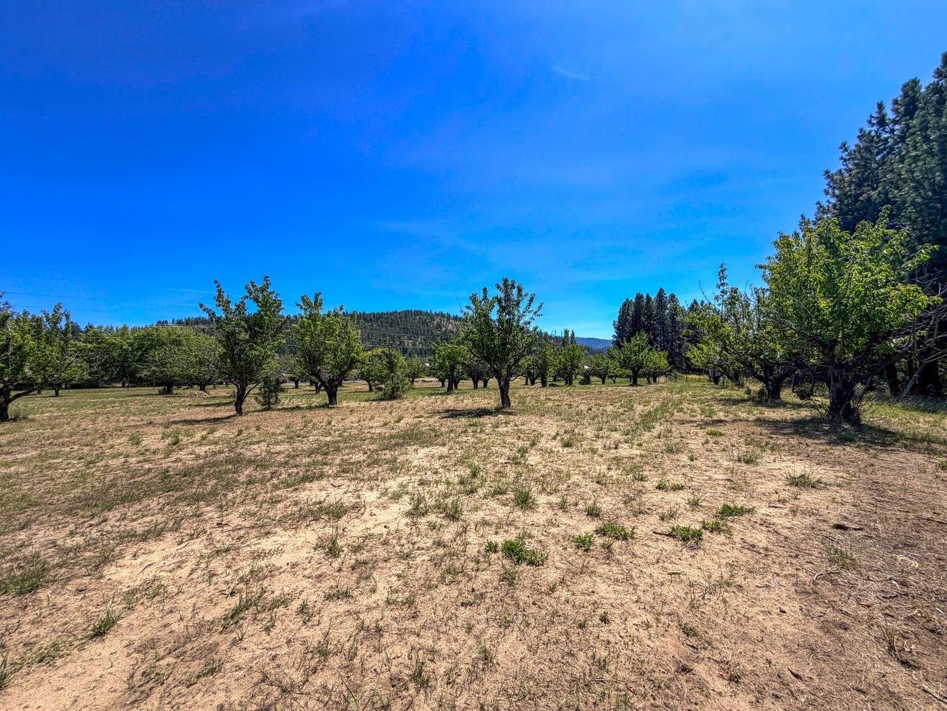 Homes for sale in Kettle Falls, WA | 1244 Peachcrest Rd, Kettle Falls, WA 99141 | MLS# 202621051