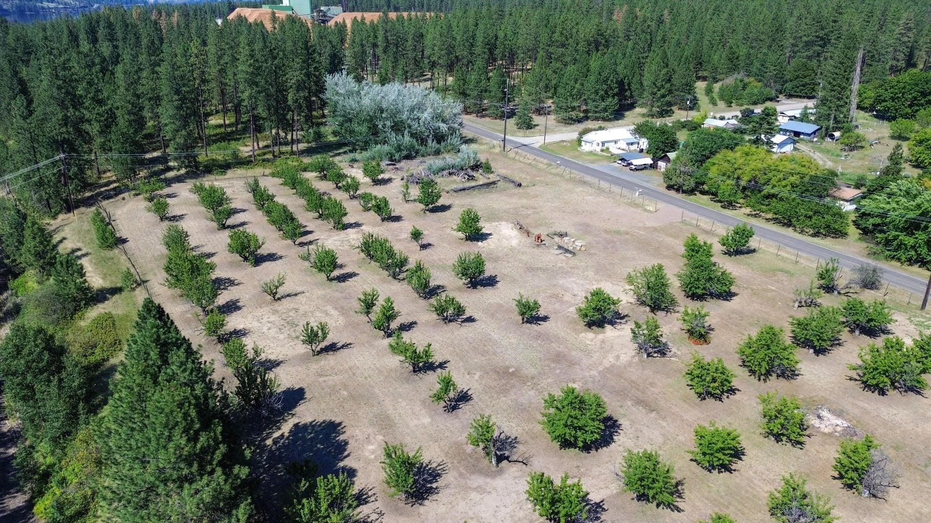 Homes for sale in Kettle Falls, WA | 1244 Peachcrest Rd, Kettle Falls, WA 99141 | MLS# 202621051