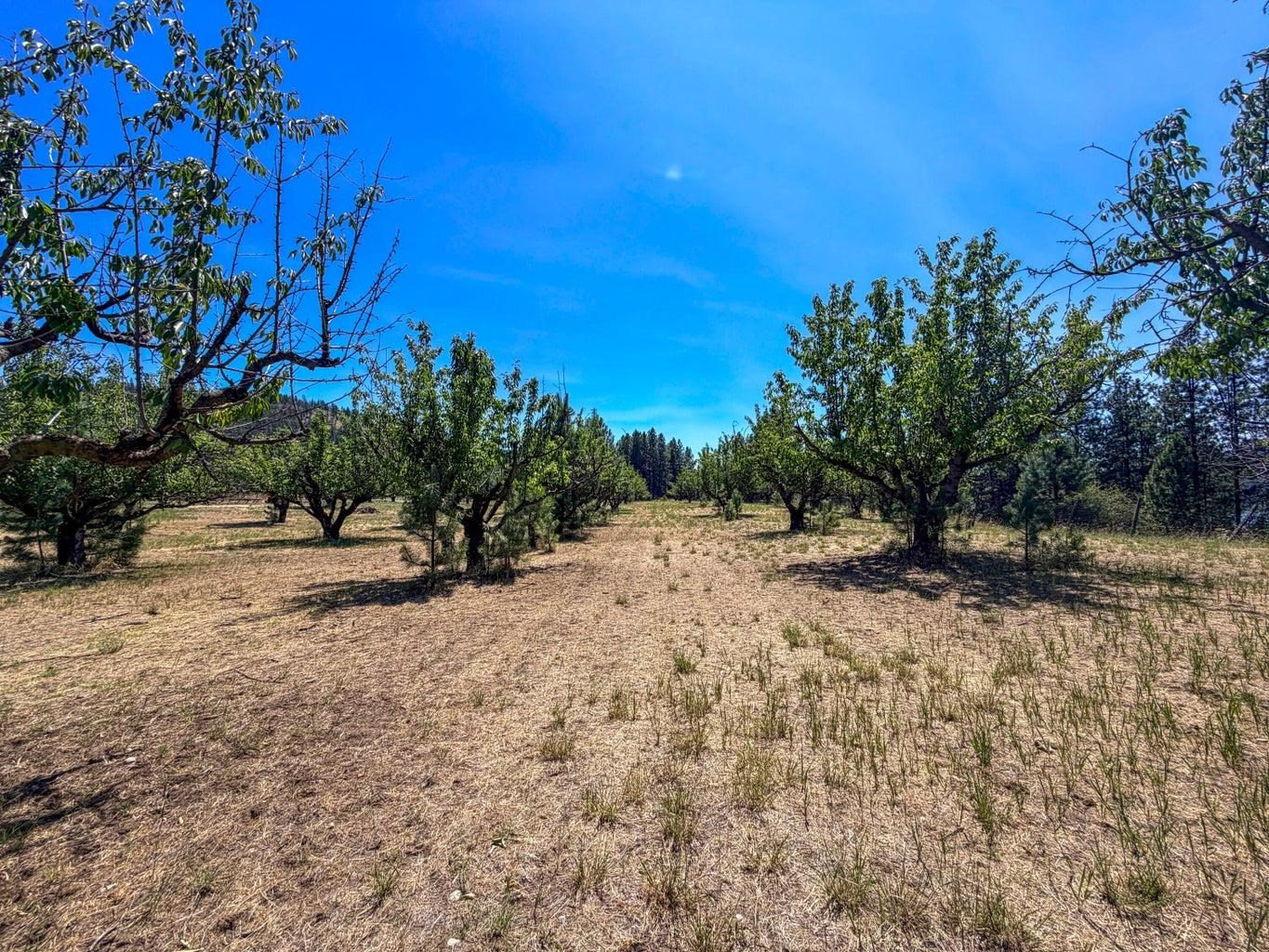 Homes for sale in Kettle Falls, WA | 1240 Peachcrest Rd, Kettle Falls, WA 99141 | MLS# 202621054