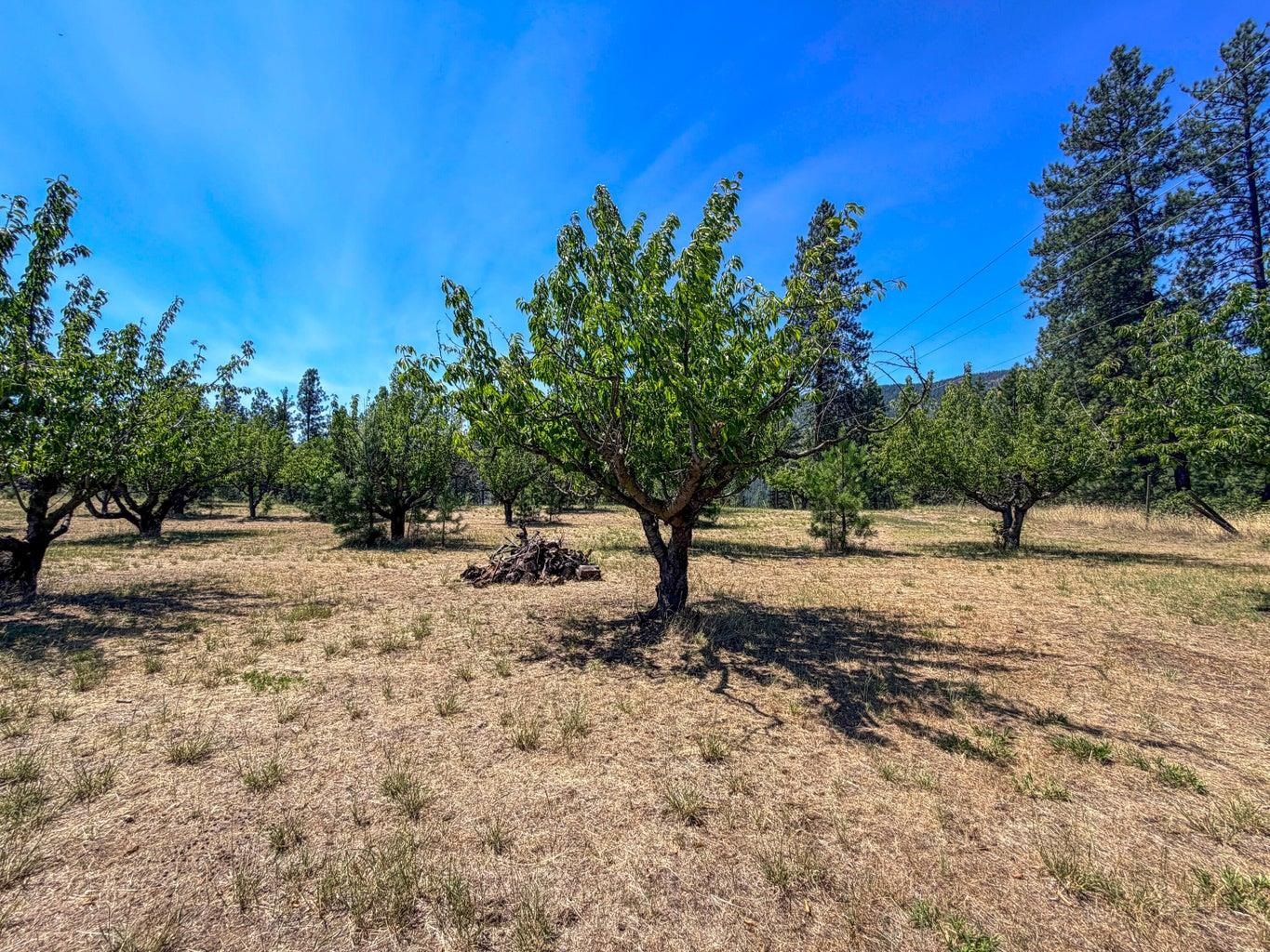 Homes for sale in Kettle Falls, WA | 1240 Peachcrest Rd, Kettle Falls, WA 99141 | MLS# 202621054