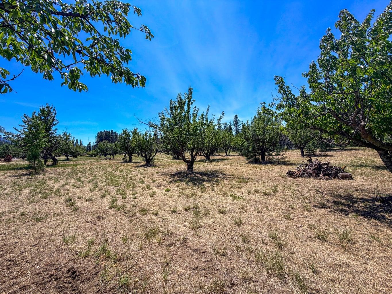 Homes for sale in Kettle Falls, WA | 1240 Peachcrest Rd, Kettle Falls, WA 99141 | MLS# 202621054