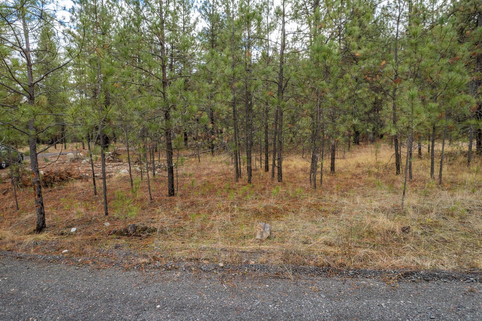 Homes for sale in Ford, WA | 52282 Woods Ln, Ford, WA 99013 | MLS# 202621296