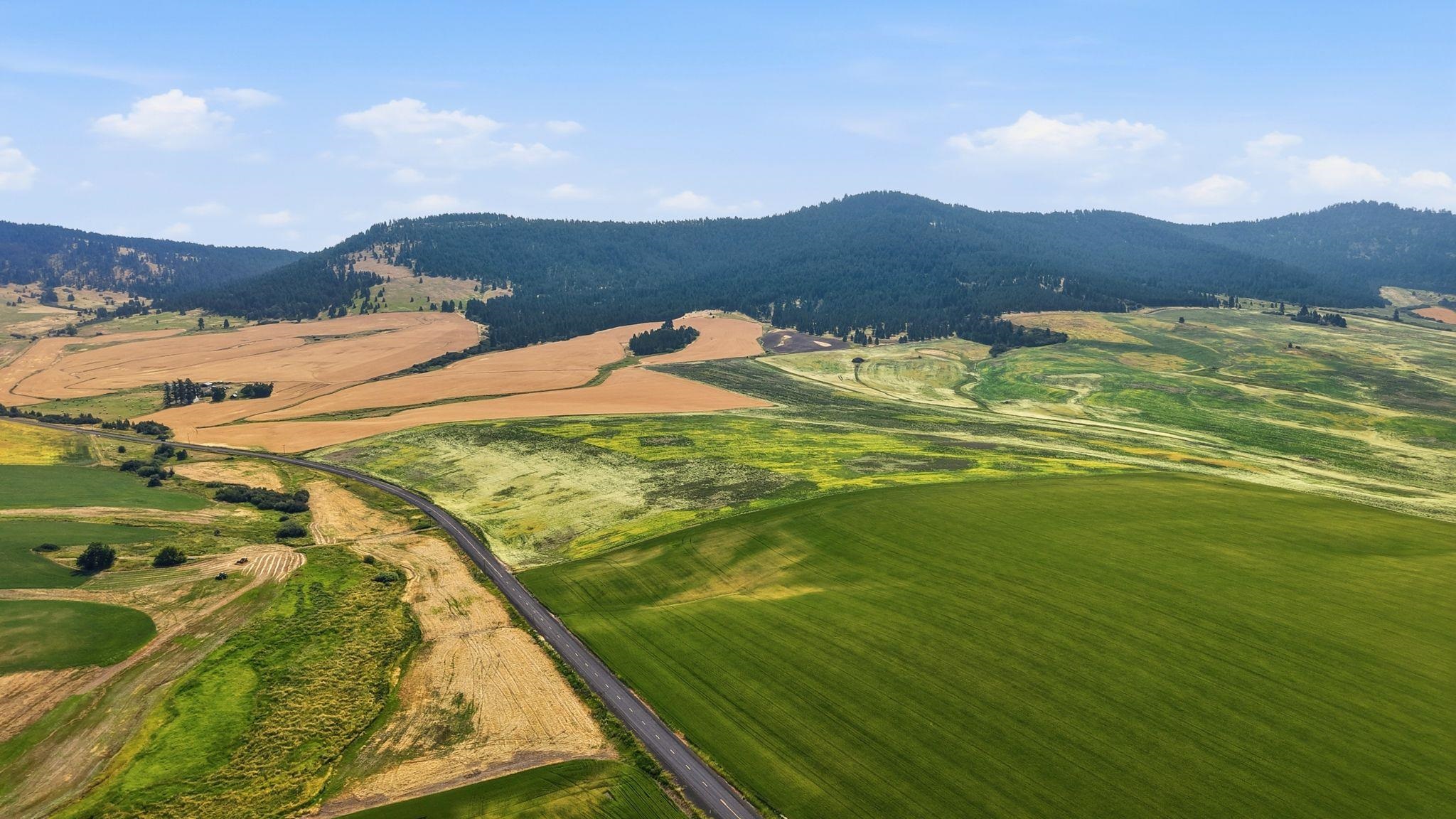 Homes for sale in Latah, WA | 395 Acre Lot Wheeler Rd, Latah, WA 99018 | MLS# 202621447