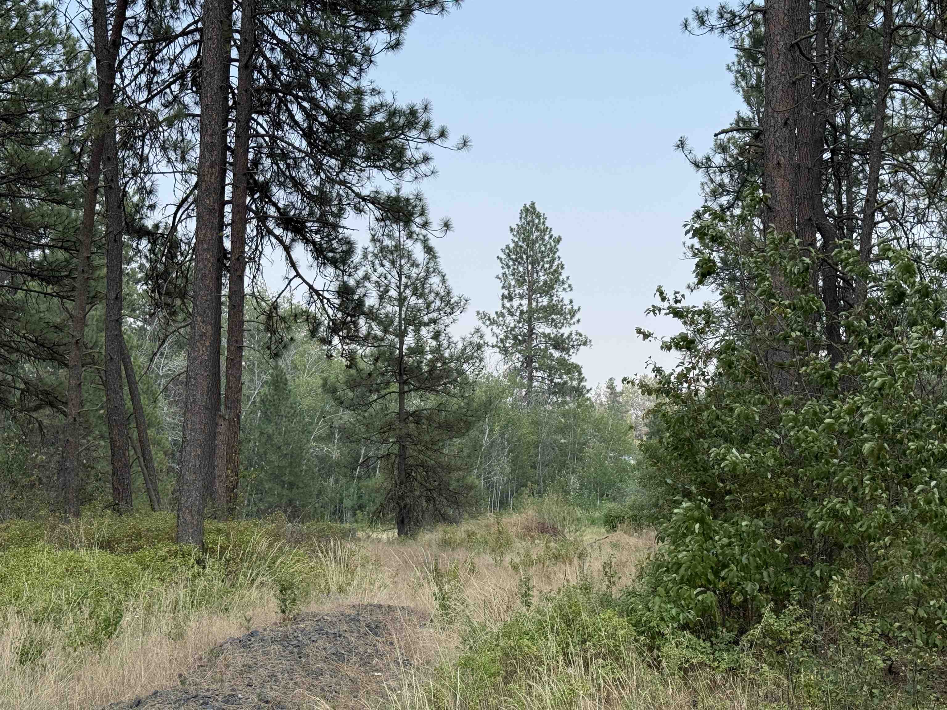 1st image of 511 Ac W Malloy Prairie Rd, Cheney, WA 99004 | MLS# 202621468