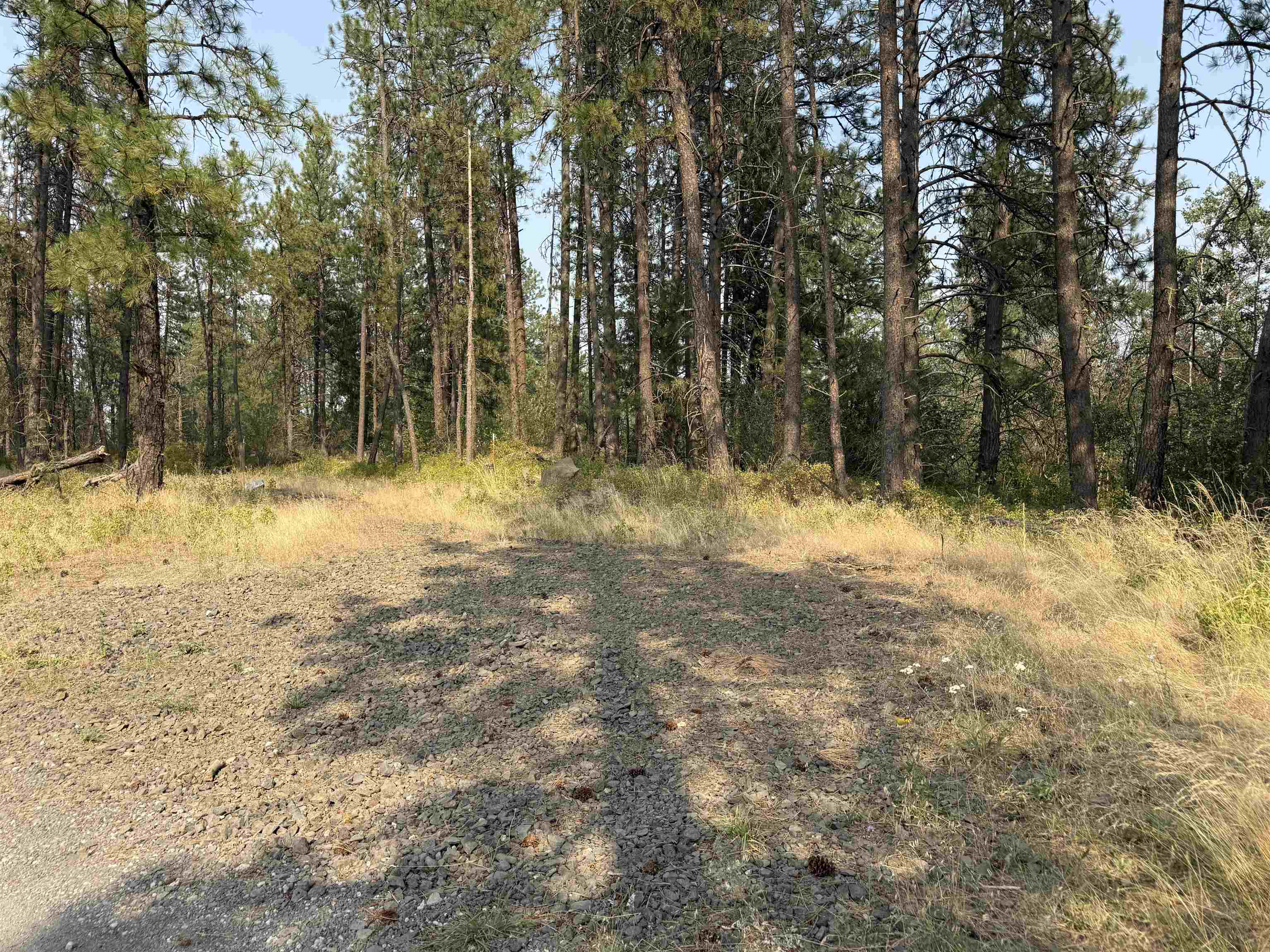 5th image of 511 Ac W Malloy Prairie Rd, Cheney, WA 99004 | MLS# 202621468