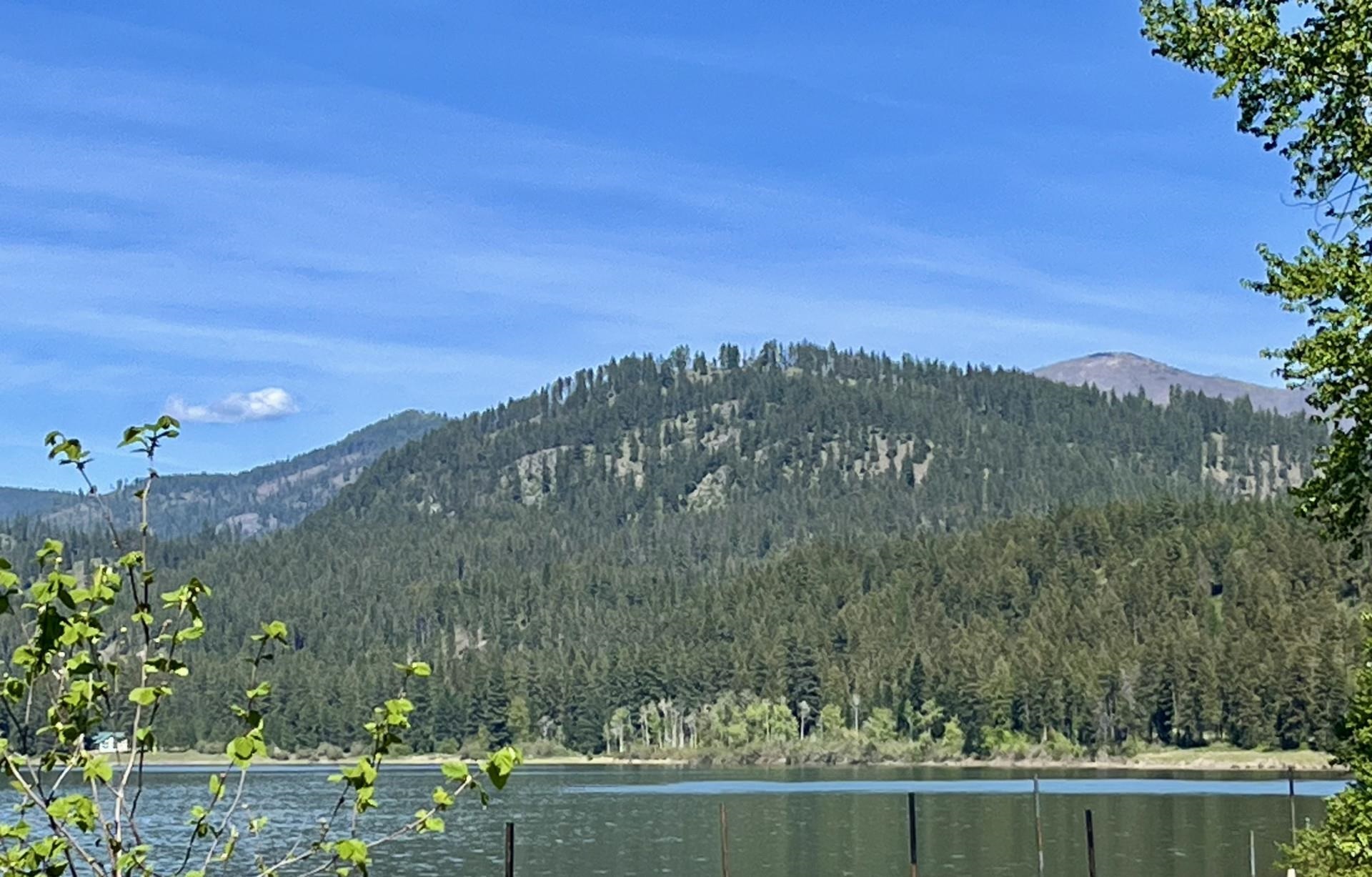 5th image of 361 Dilling Dr, Cusick, WA 99119 | MLS# 202621473