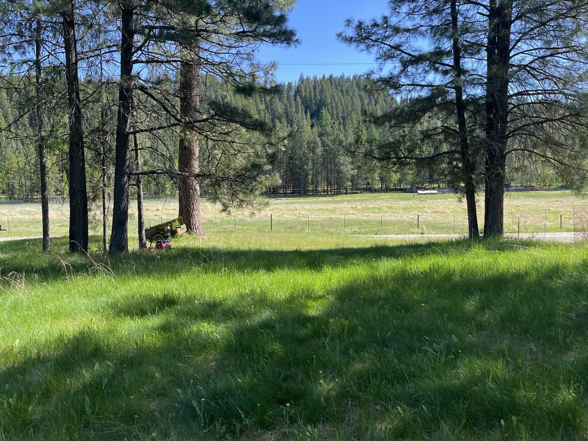 4th image of 361 Dilling Dr, Cusick, WA 99119 | MLS# 202621473