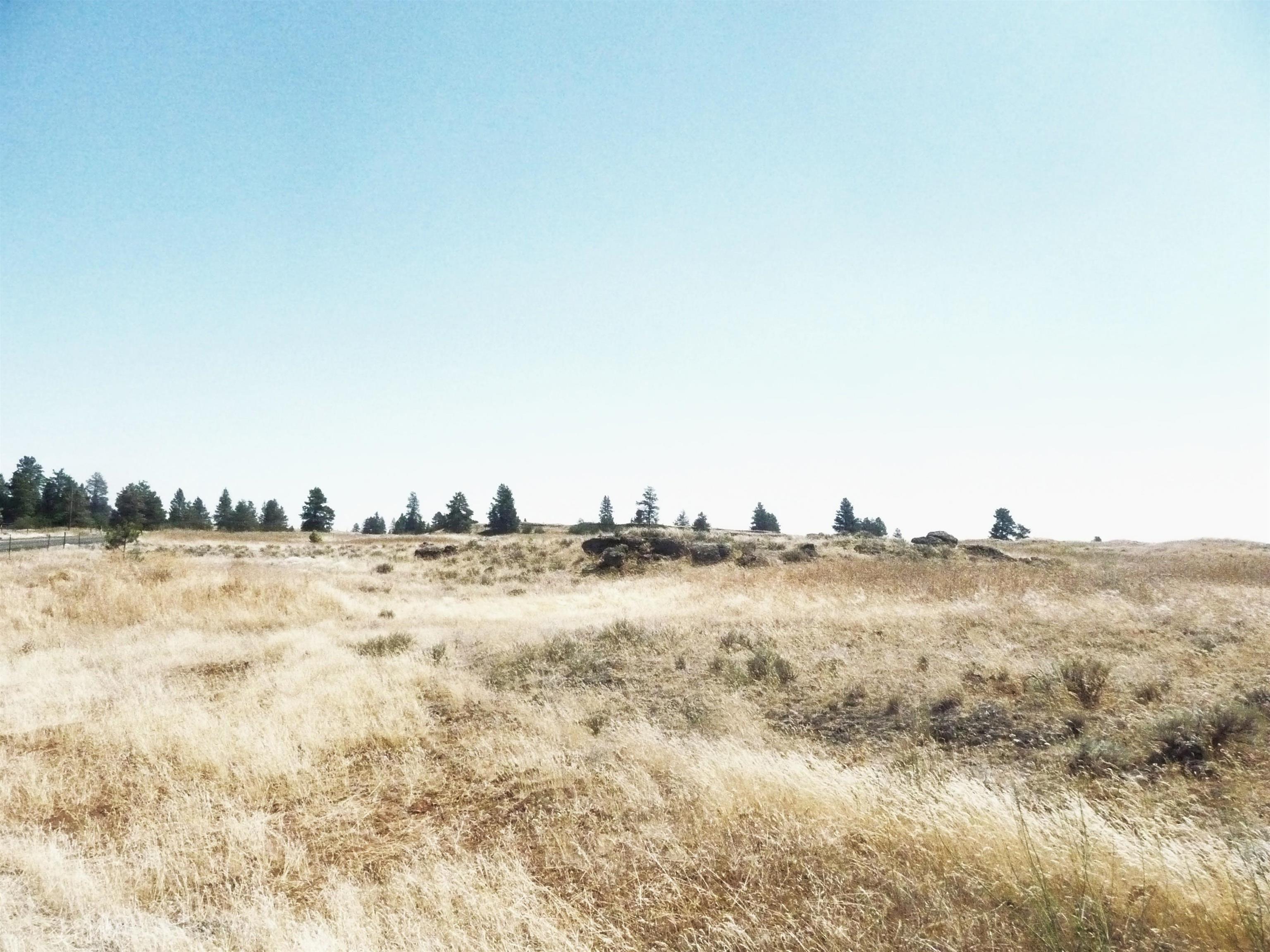 3rd image of Na 0000 W Williams Lake Rd, Cheney, WA 99004 | MLS# 202621531
