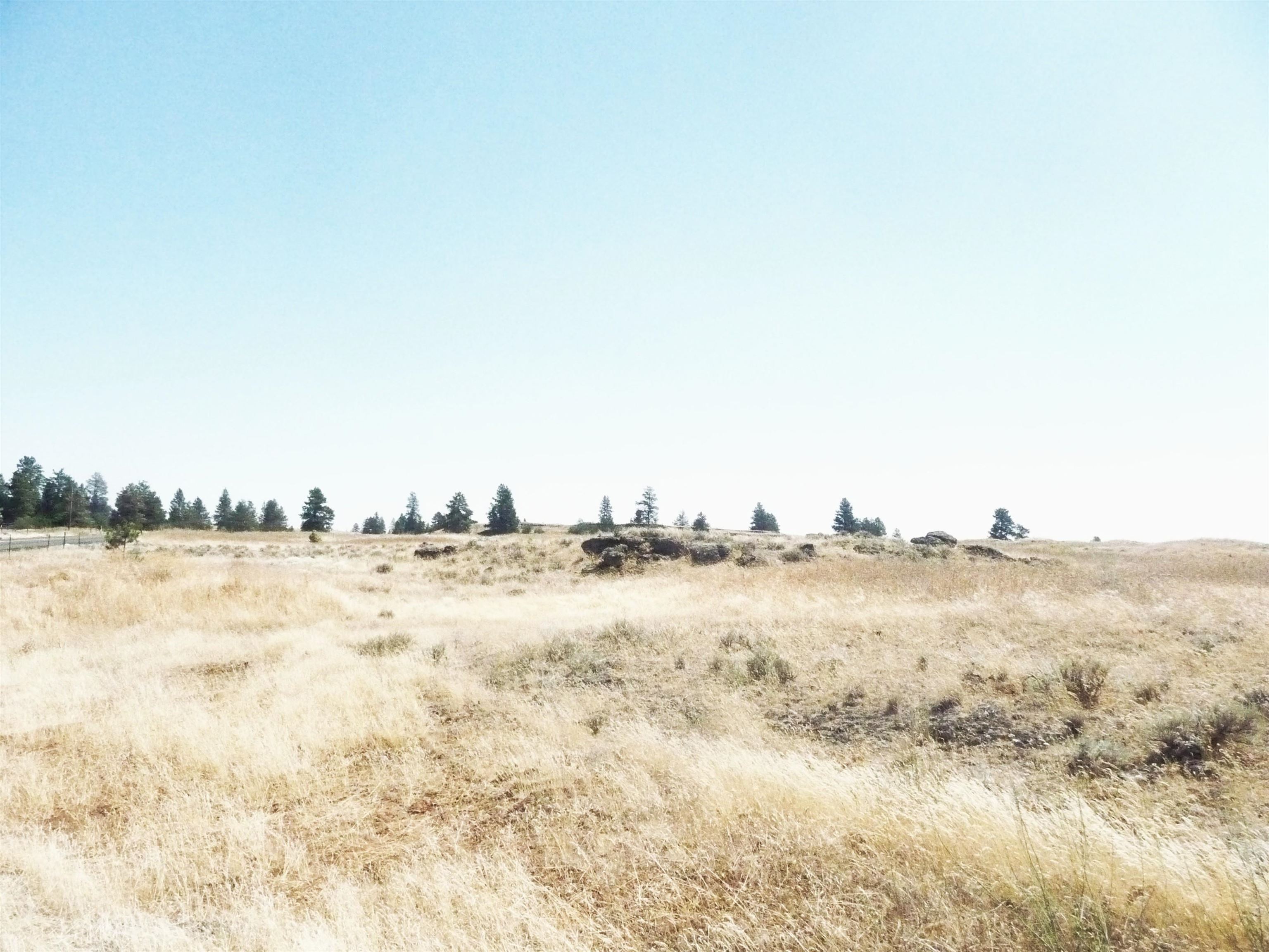 4th image of Na 0000 W Williams Lake Rd, Cheney, WA 99004 | MLS# 202621531