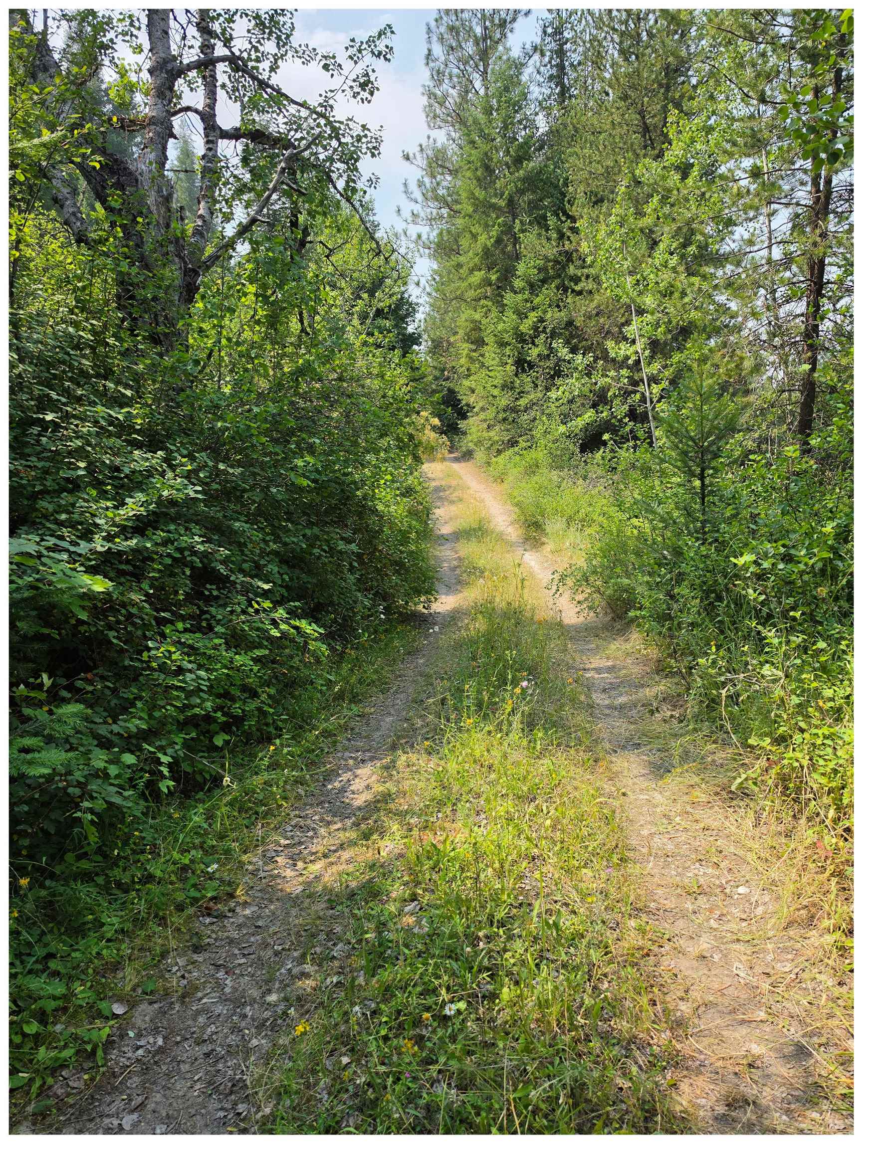 3rd image of Nna Hwy 20 & Mc Cloud Creek Rd, Newport, WA 99156 | MLS# 202621555