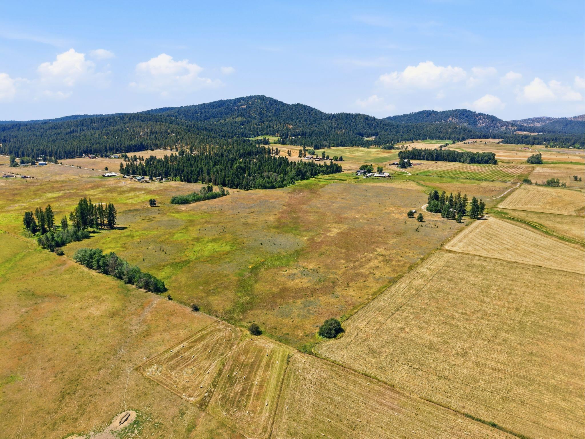 4th image of 53Xx Hattery-Owens Rd, Deer Park, WA 99006 | MLS# 202621854