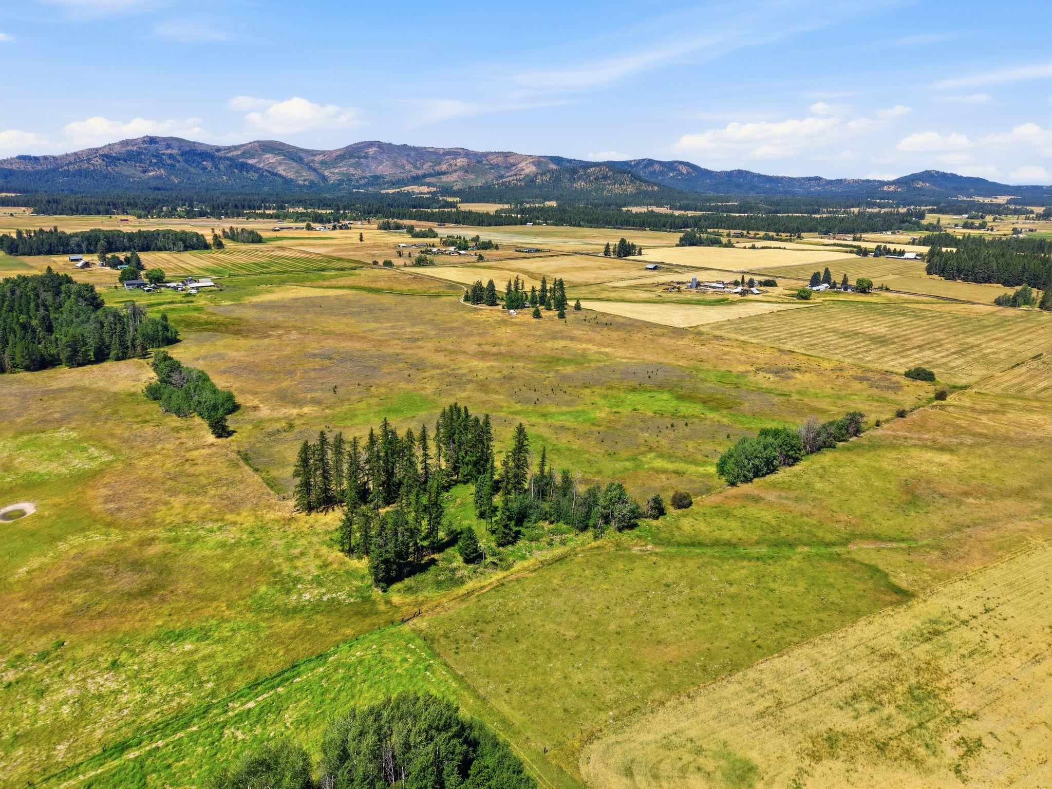 3rd image of 53Xx Hattery-Owens Rd, Deer Park, WA 99006 | MLS# 202621854