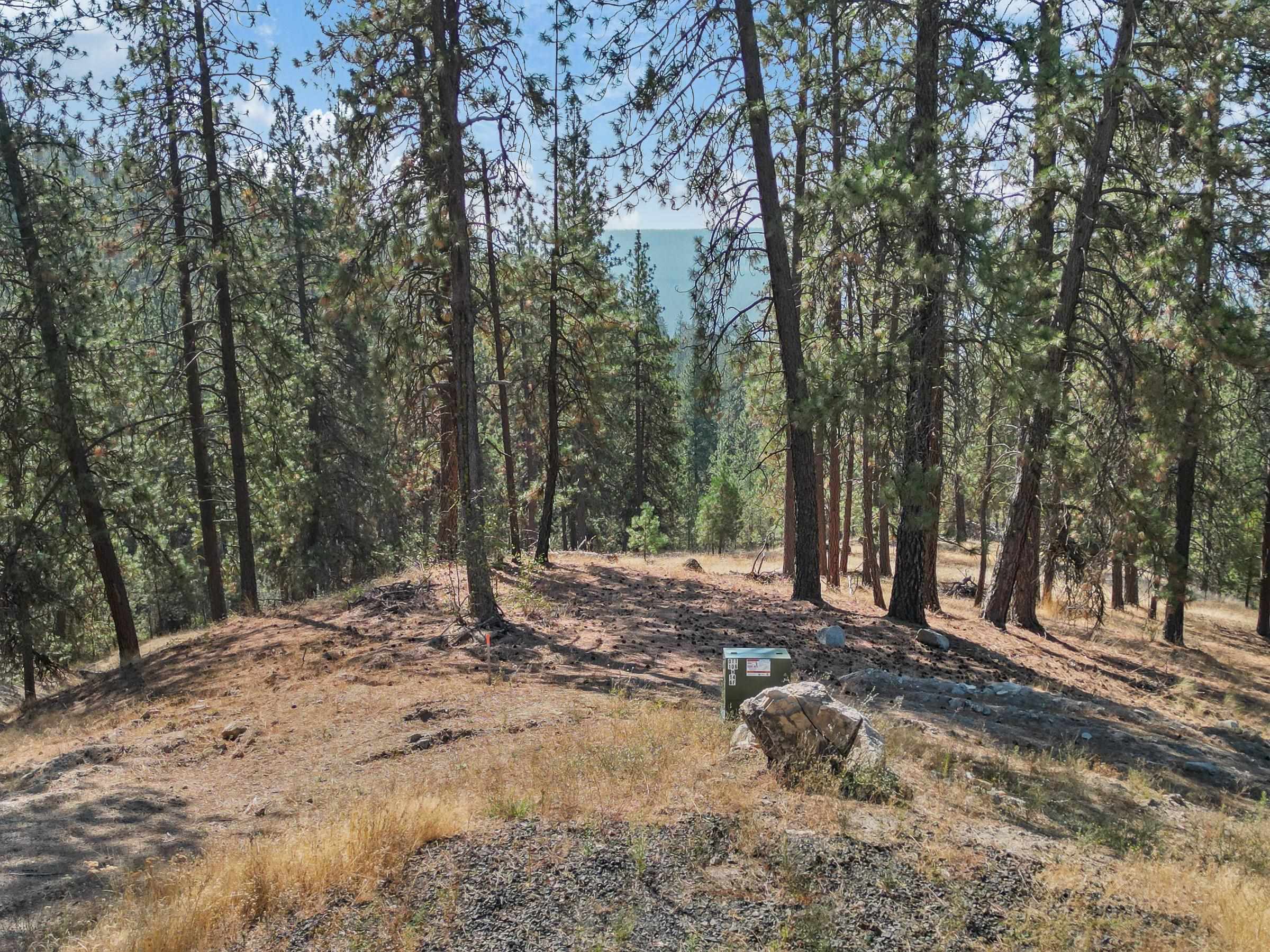 13th image of Nka Lower Weaver Wy, Deer Park, WA 99006 | MLS# 202622024