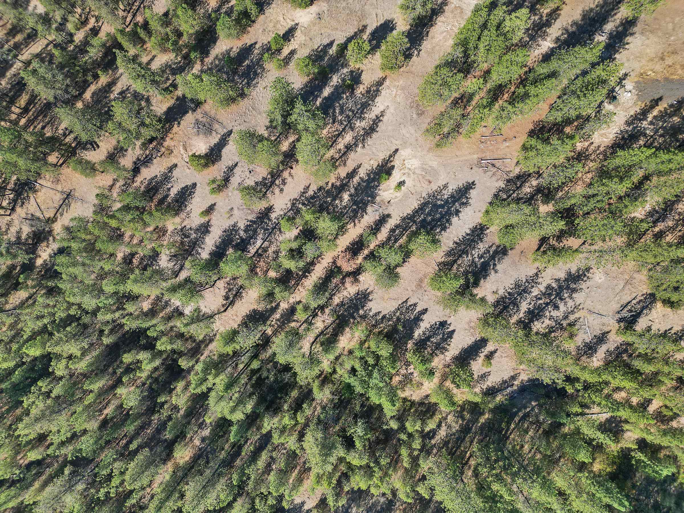 4th image of Nka Lower Weaver Wy, Deer Park, WA 99006 | MLS# 202622024
