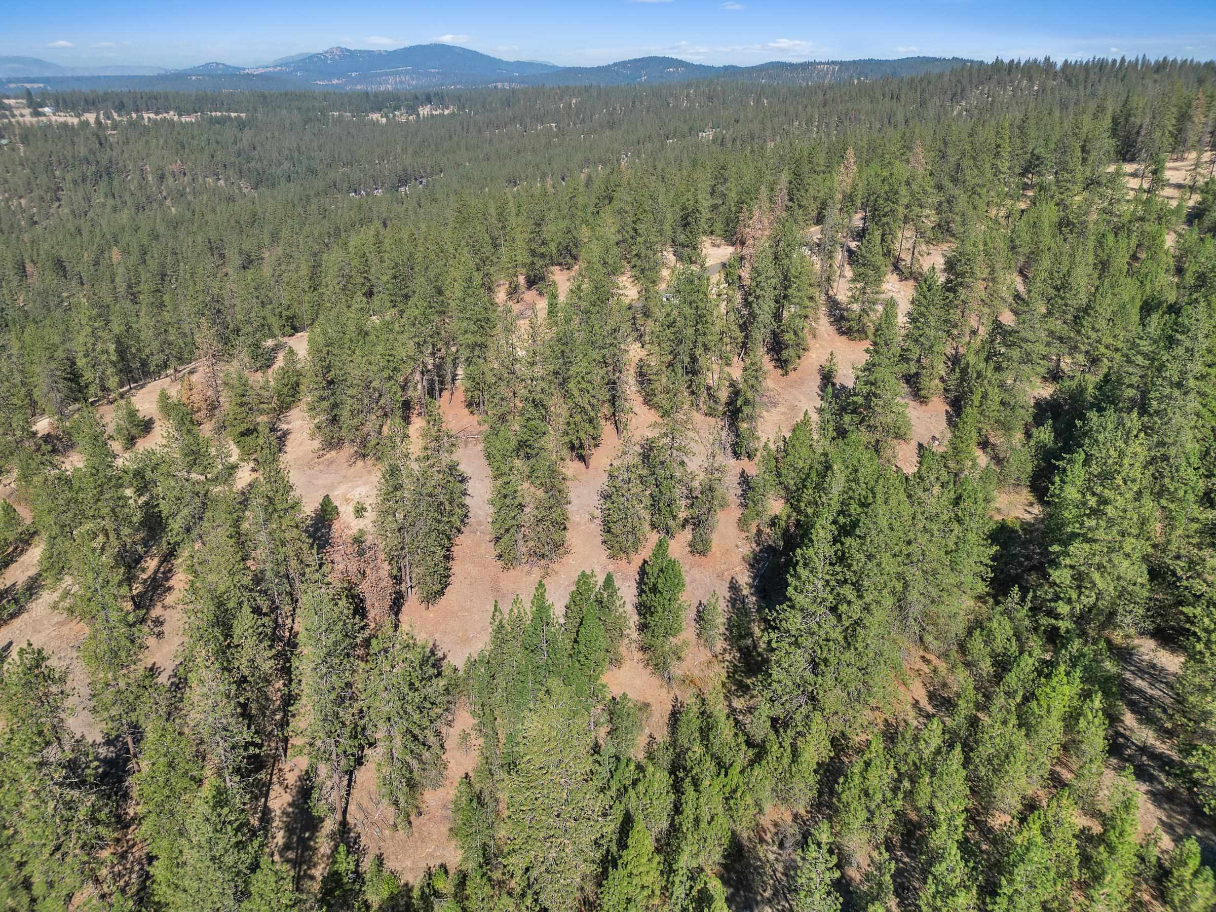 5th image of Nka Lower Weaver Wy, Deer Park, WA 99006 | MLS# 202622024