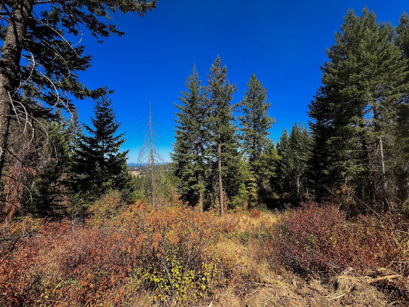 5th image of 52Xx Lot 7 Swenson Rd, Deer Park, WA 99006 | MLS# 202622267