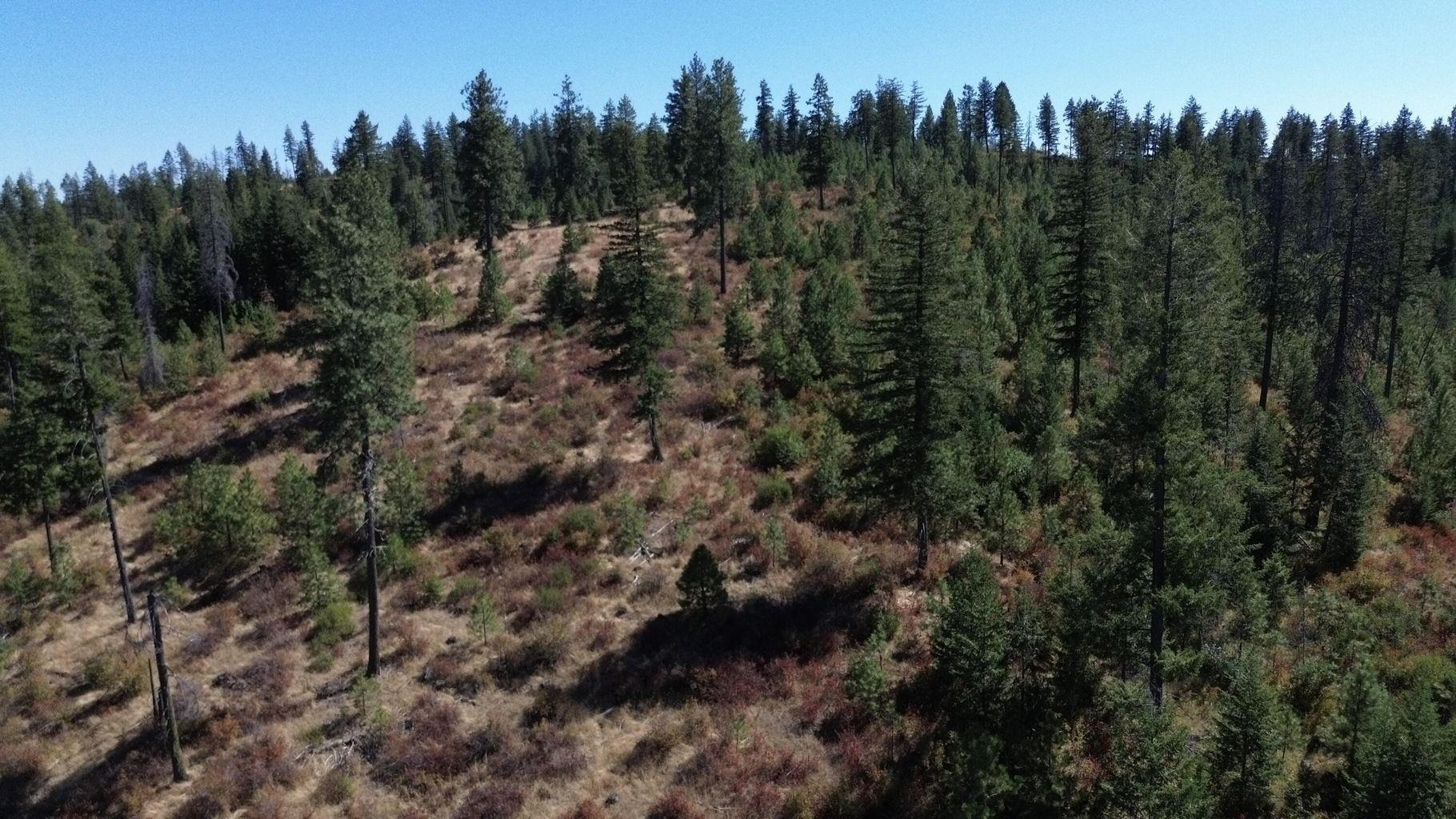 12th image of 52xx Lot 7 Swenson Rd, Deer Park, WA 99006 | MLS# 202622267