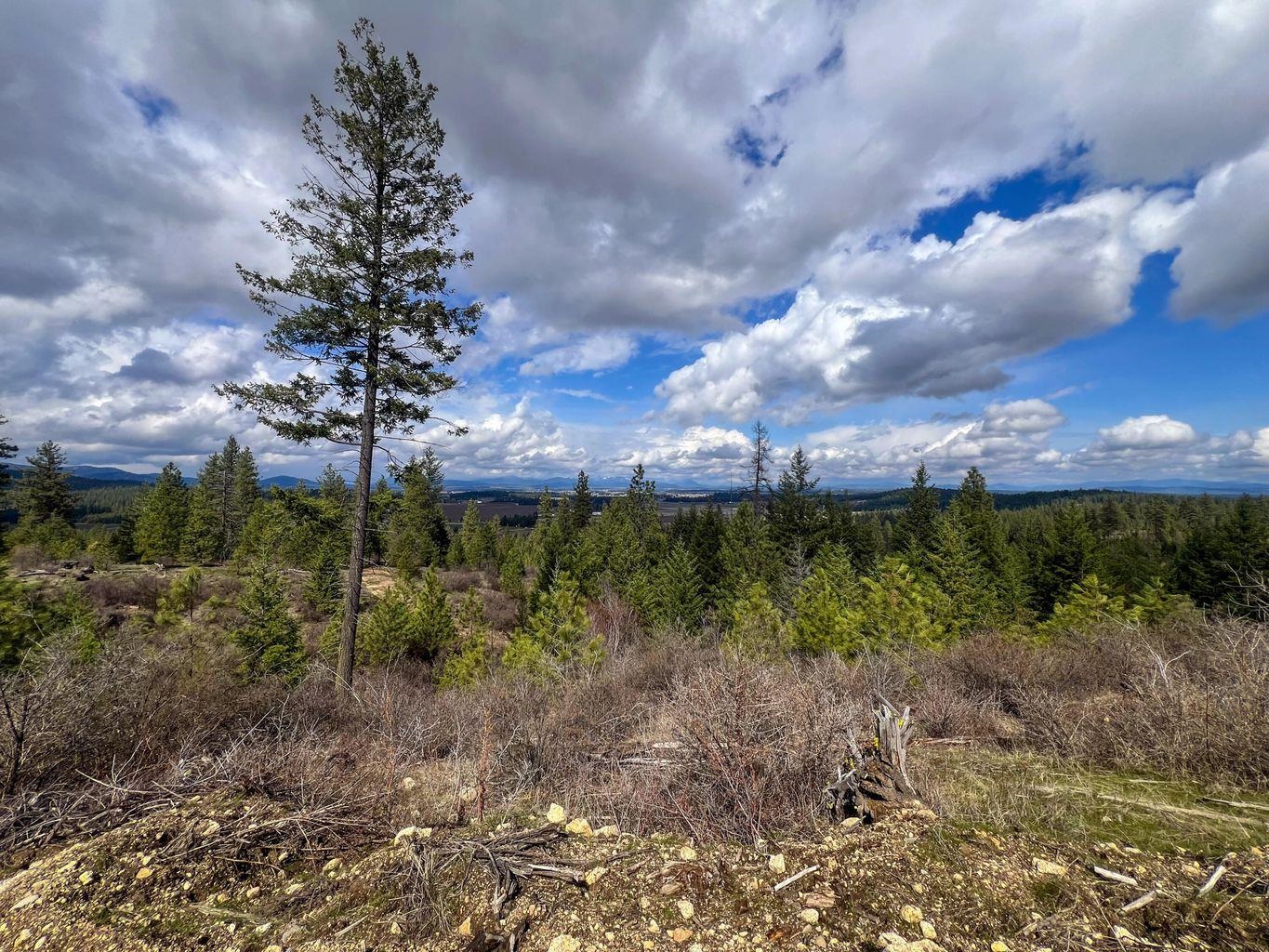 1st image of 52xx Lot 8 Swenson Rd, Deer Park, WA 99006 | MLS# 202622268