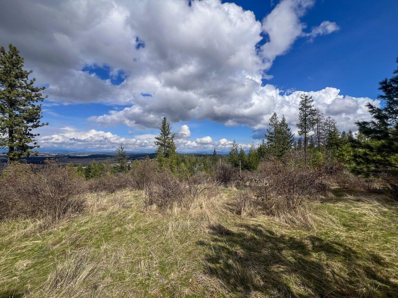 16th image of 52xx Lot 8 Swenson Rd, Deer Park, WA 99006 | MLS# 202622268
