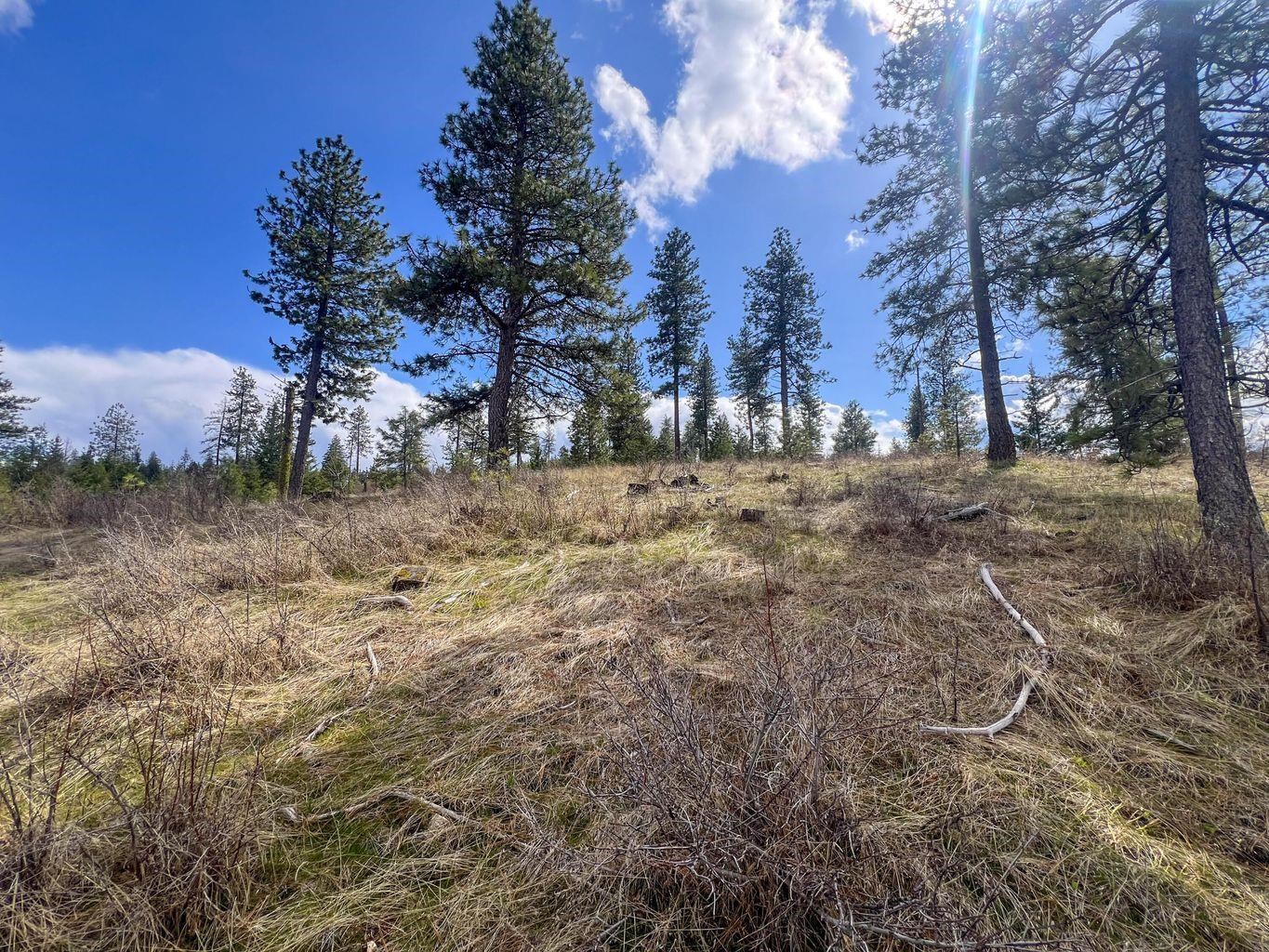 5th image of 52Xx Lot 8 Swenson Rd, Deer Park, WA 99006 | MLS# 202622268