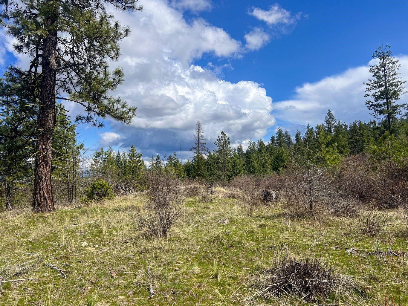 4th image of 52Xx Lot 8 Swenson Rd, Deer Park, WA 99006 | MLS# 202622268