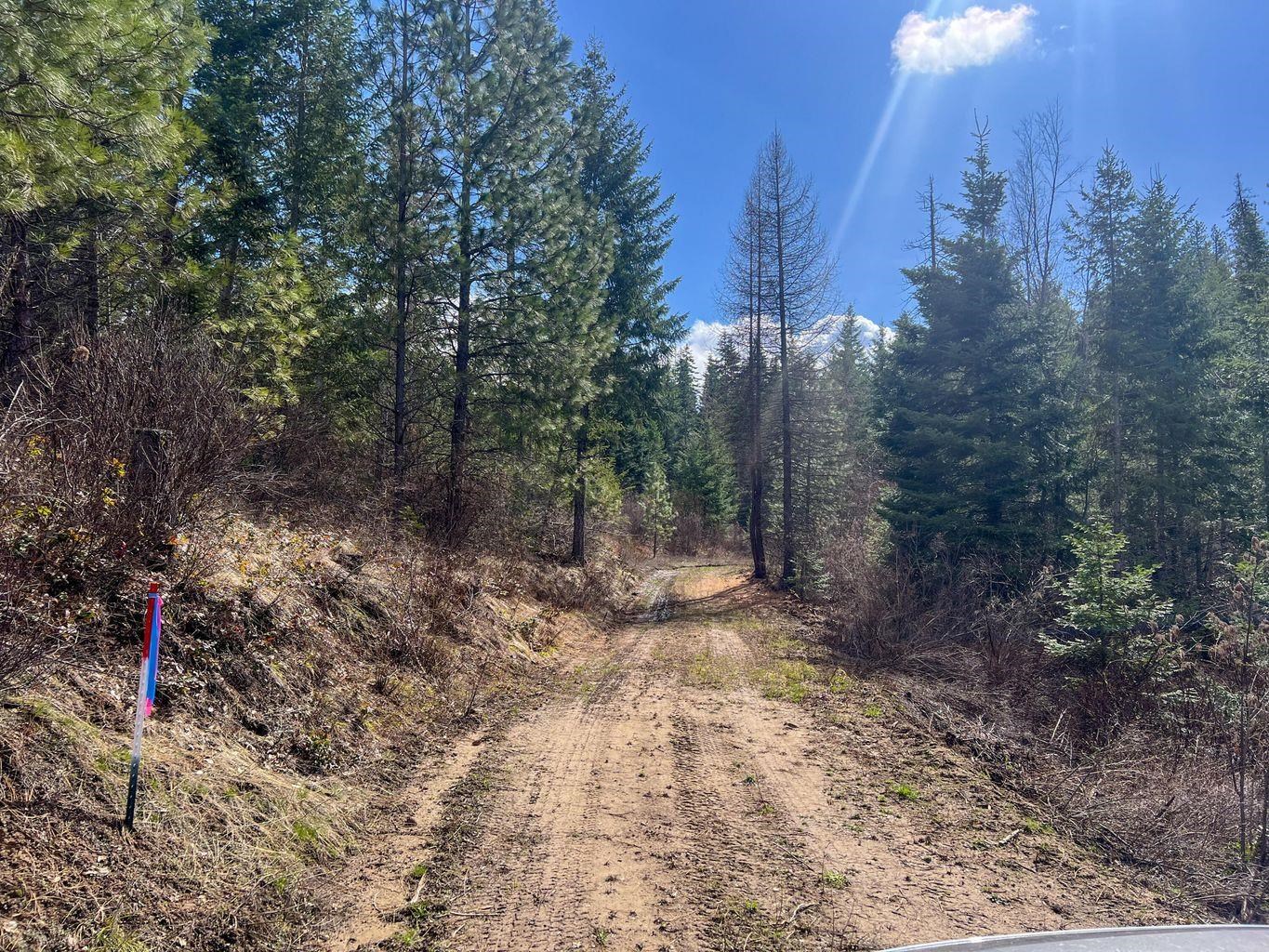 3rd image of 52Xx Lot 8 Swenson Rd, Deer Park, WA 99006 | MLS# 202622268