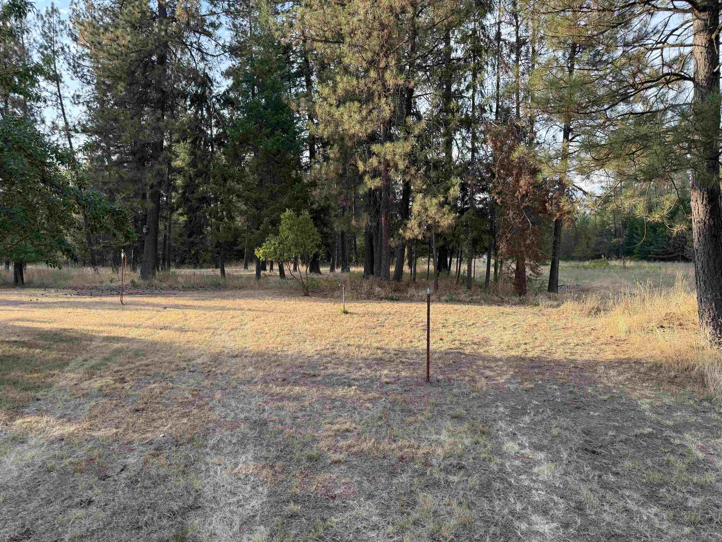 31st image of 3824 Powers Rd, Loon Lake, WA 99148 | MLS# 202622906