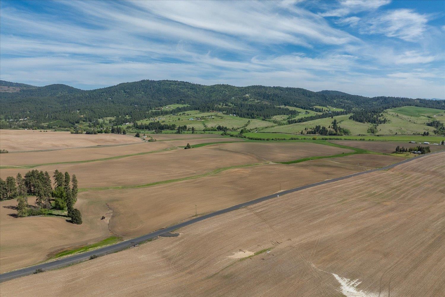 33rd image of 00xxx Jackson Rd, Lot 20, Mica, WA 99023 | MLS# 202623095