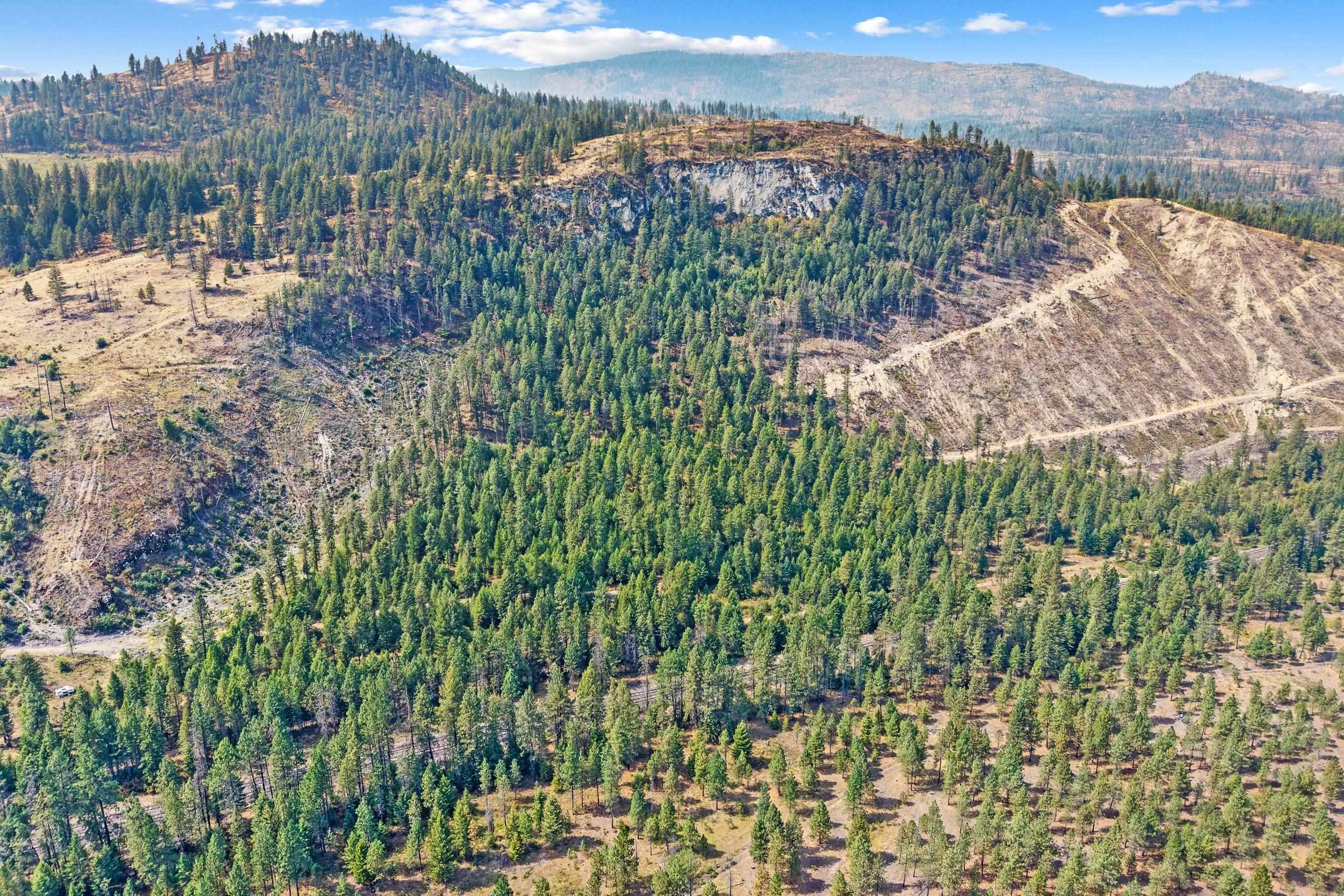 3rd image of Tbd Hwy 395 N, Kettle Falls, WA 99141 | MLS# 202623122