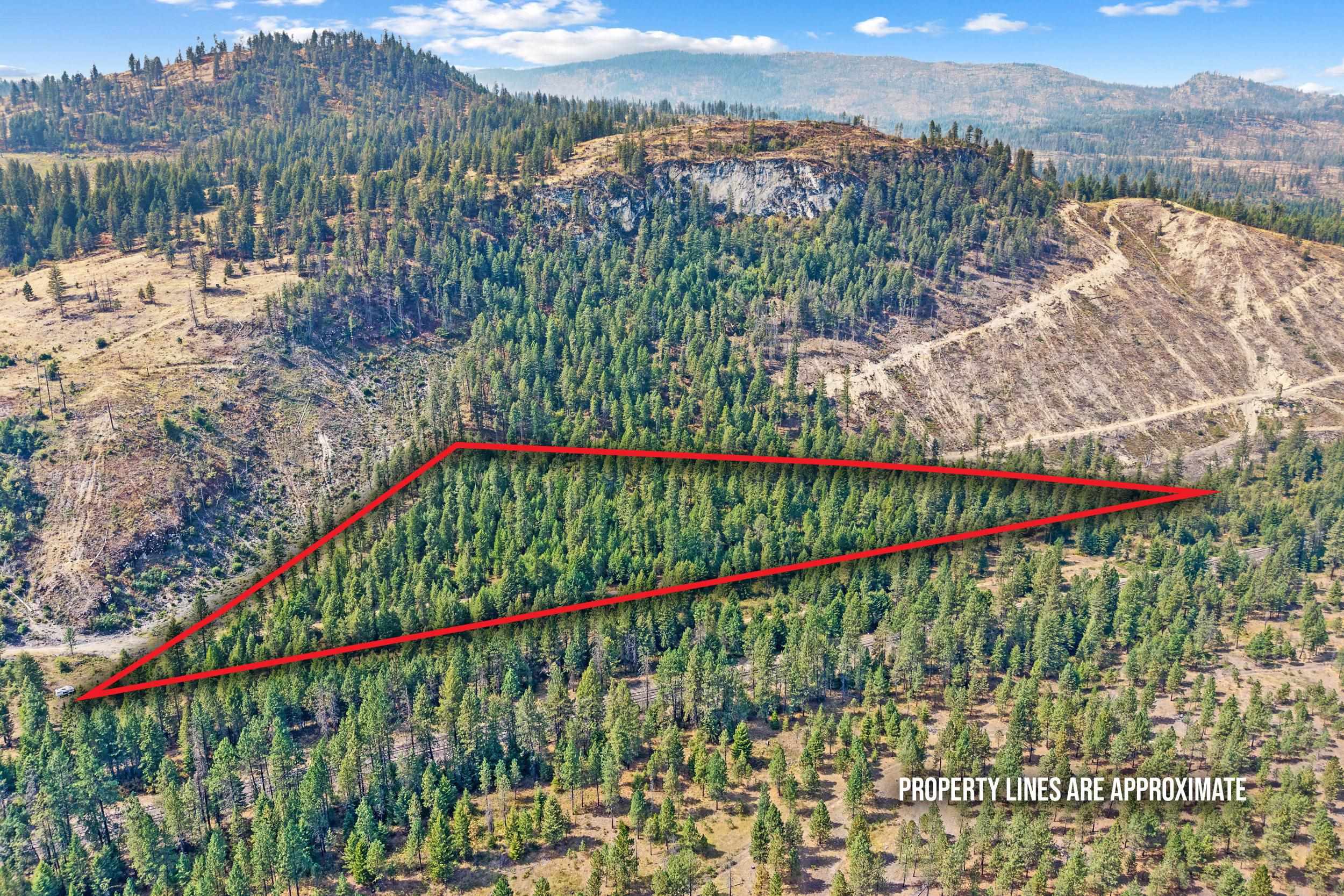4th image of Tbd Hwy 395 N, Kettle Falls, WA 99141 | MLS# 202623122