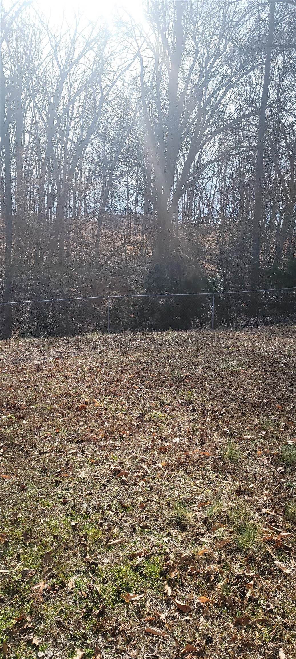 Homes for sale in Woodruff, SC | 103 David St, Woodruff, SC 29388 | MLS# SPN319578