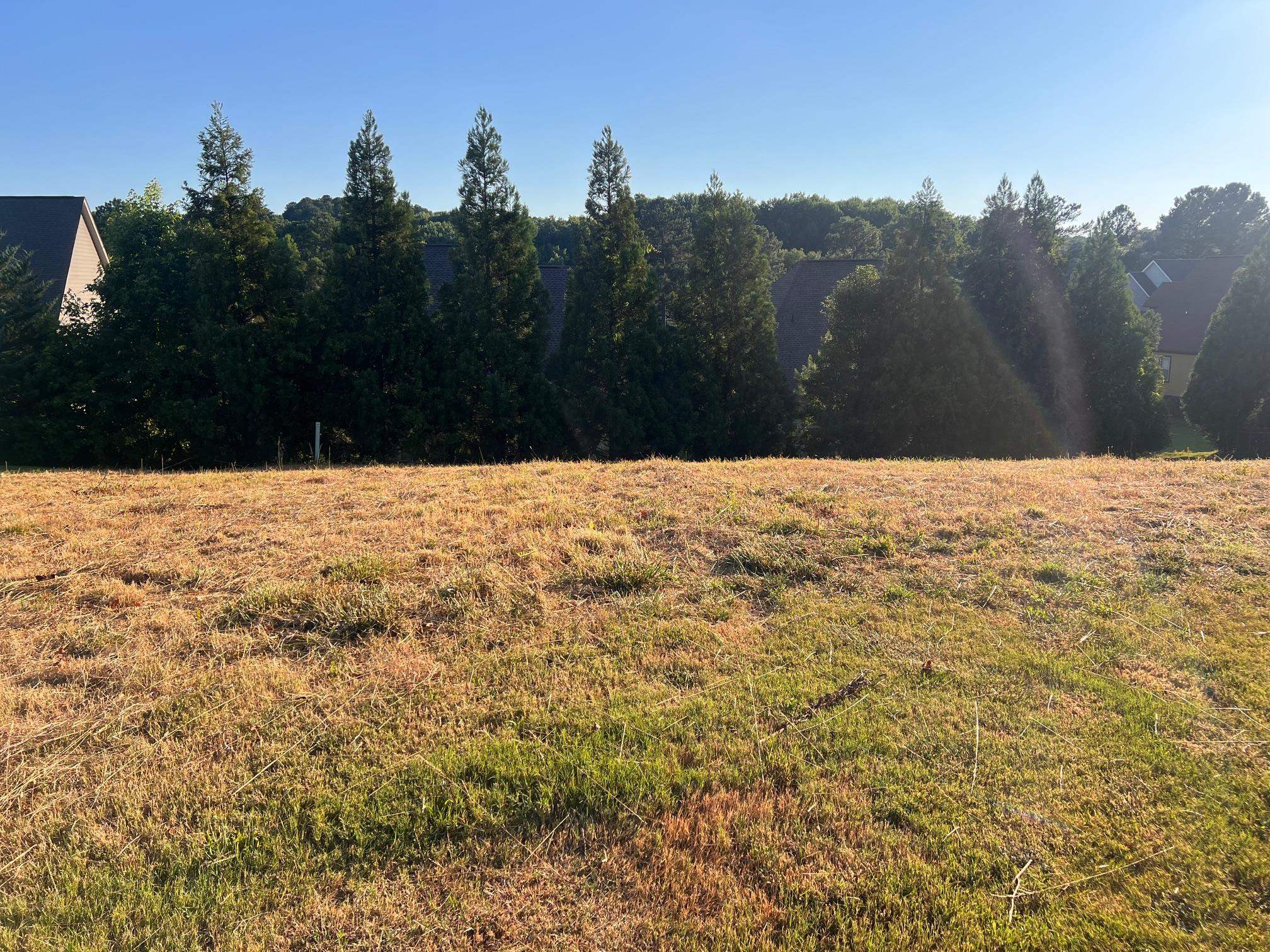 Homes for sale in Inman, SC | 247 Tuscan Ridge Trl, Inman, SC 29349 | MLS# SPN320754