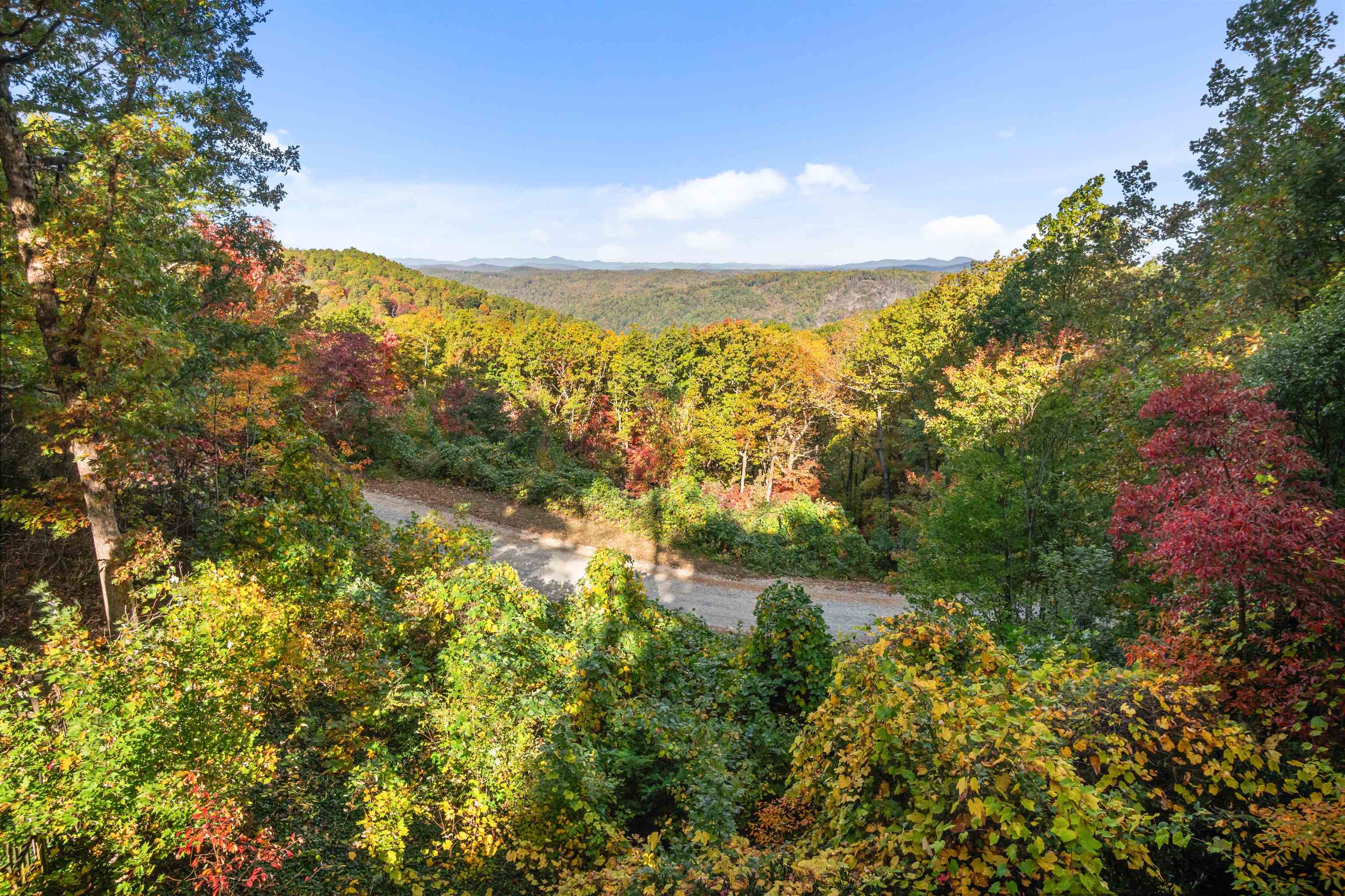 Homes for sale in Tryon, NC | 25 Little Falls Dr, Tryon, NC 28782 | MLS# SPN323379
